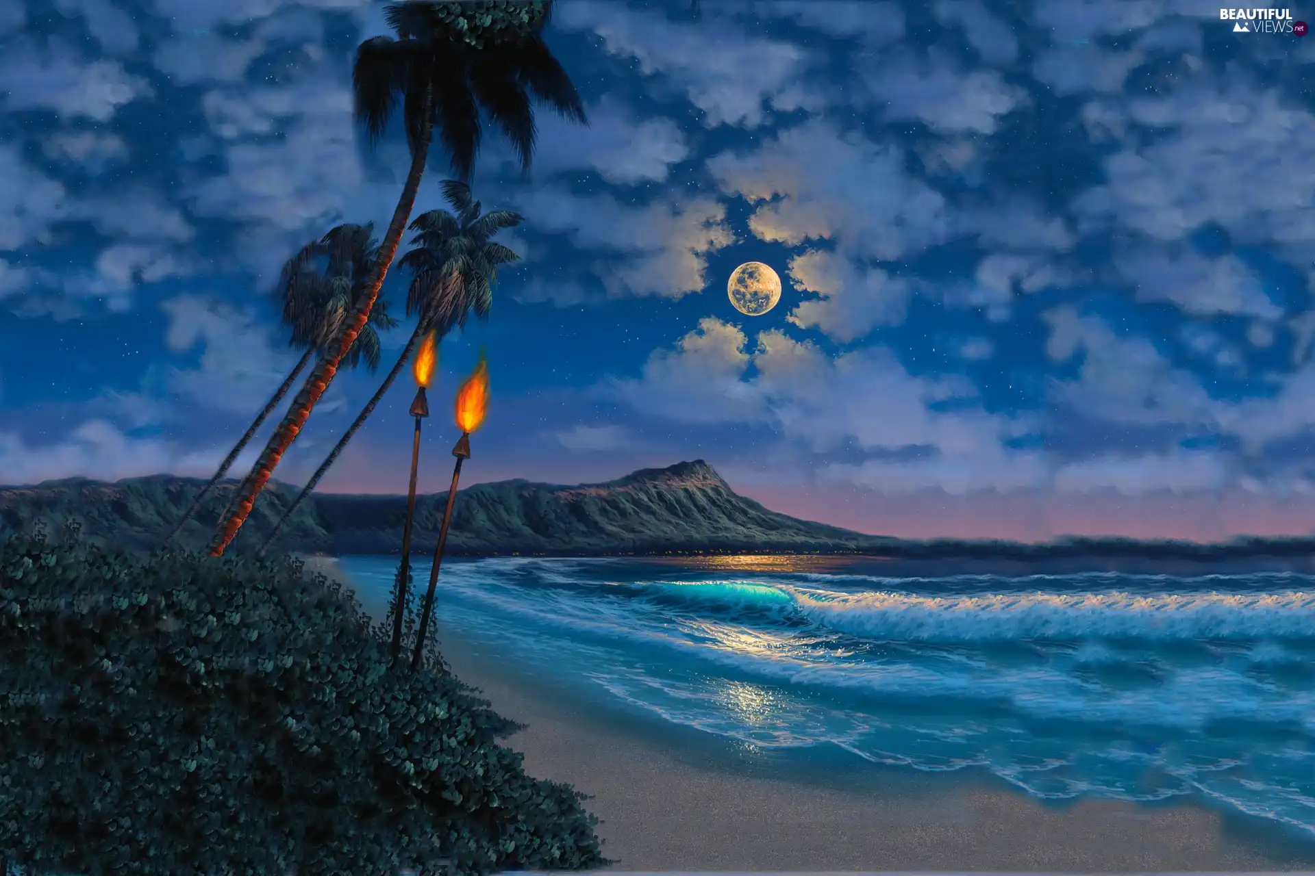 sea, moon, Palms, Torch, Beaches