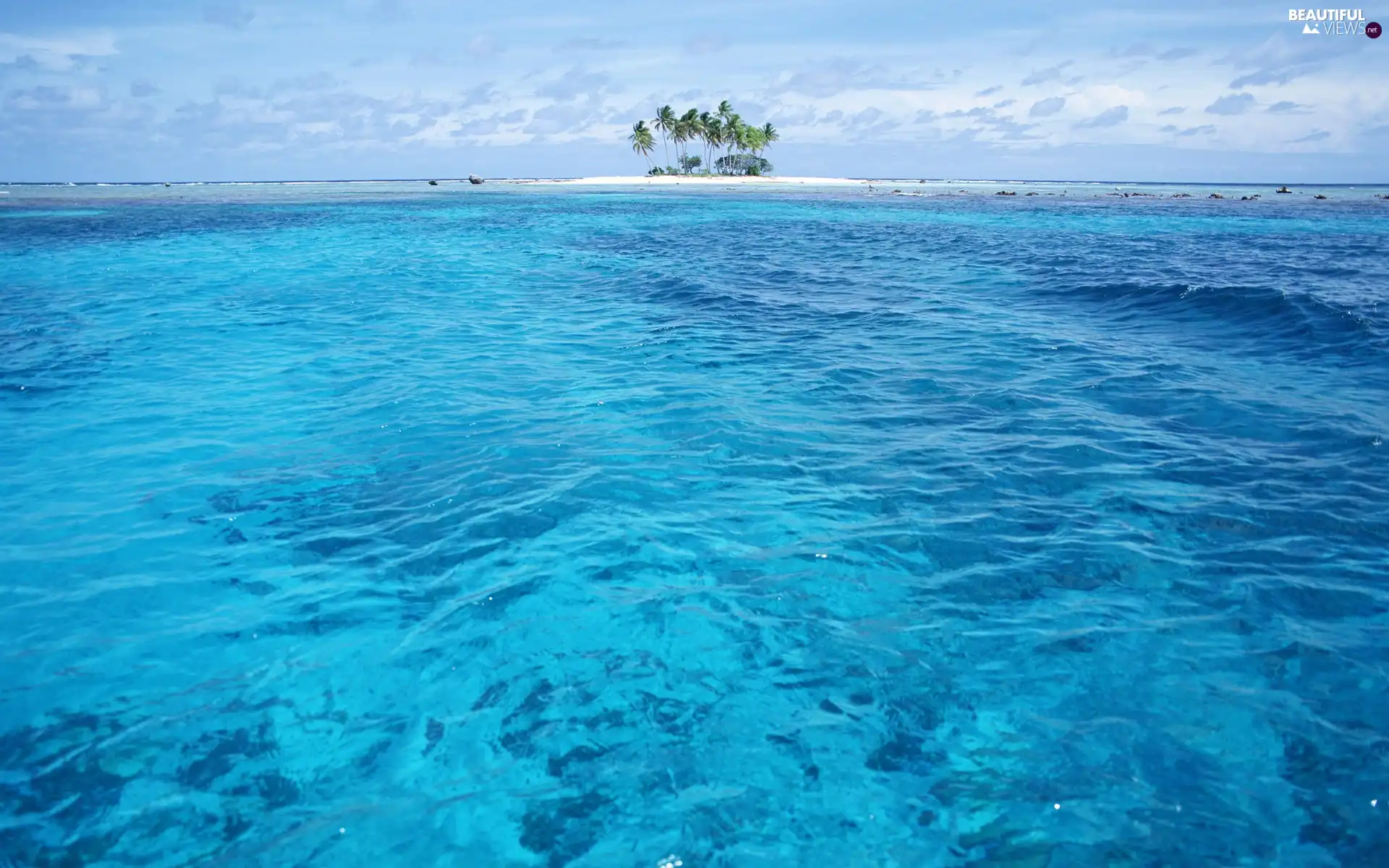 sea, Island, Palms
