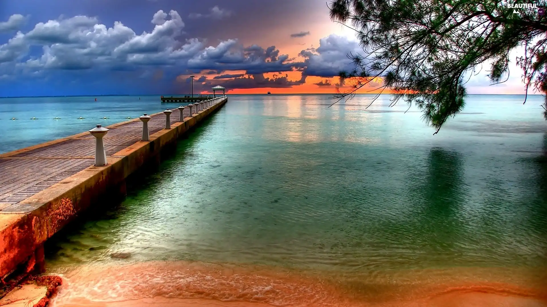 sea, trees, pier