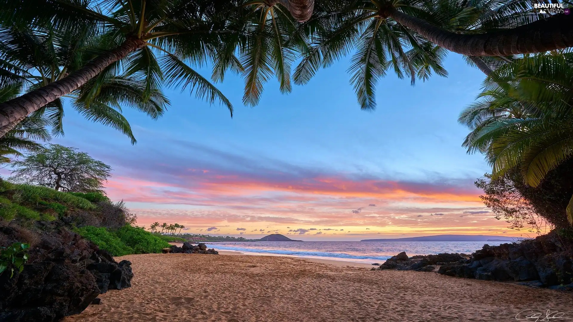 sea, Aloha State Hawaje, Palms, Beaches, VEGETATION, Maui Island
