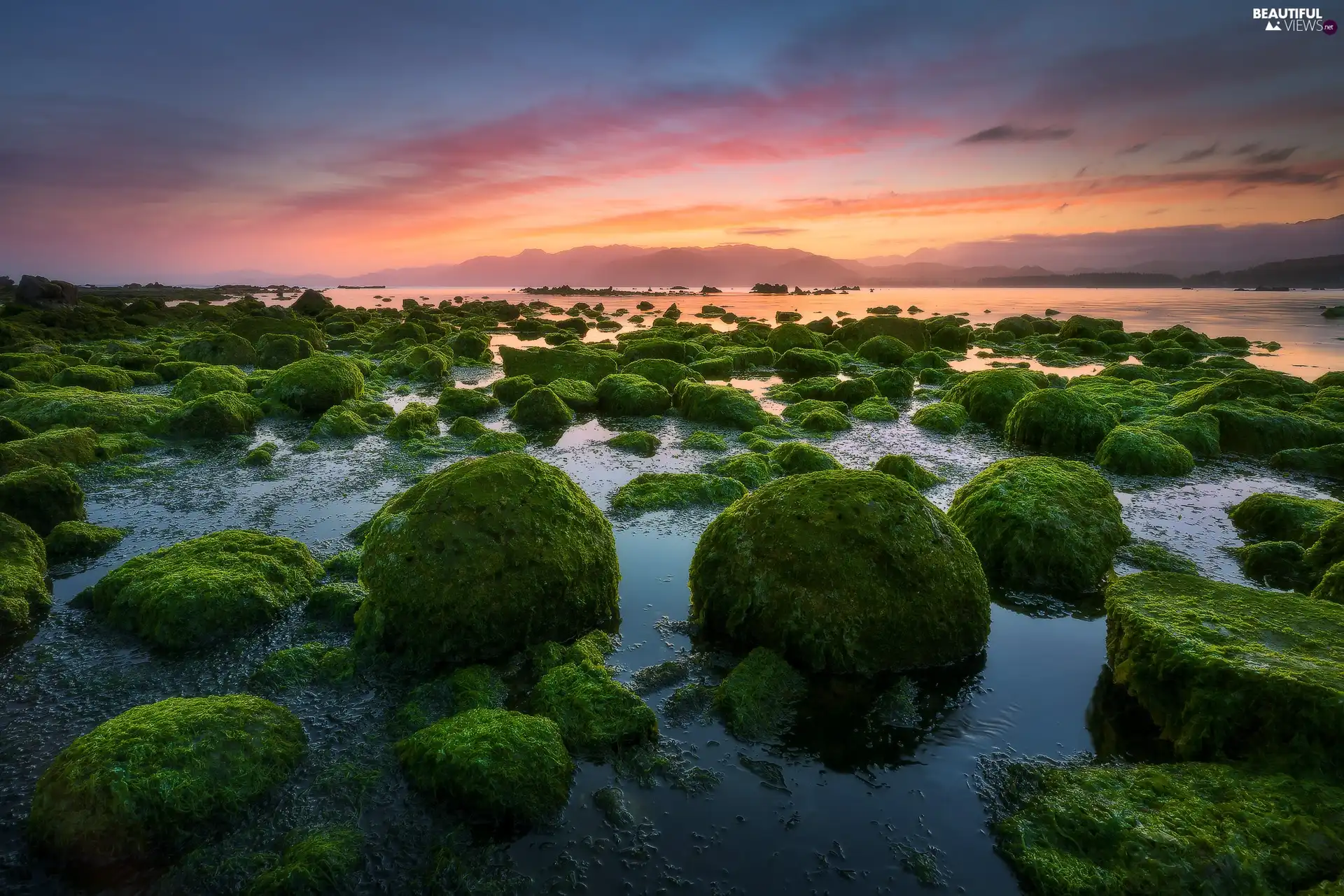 New Zeland, coast, Great Sunsets, sea, seaweed, South Island, Kaikoura, Stones