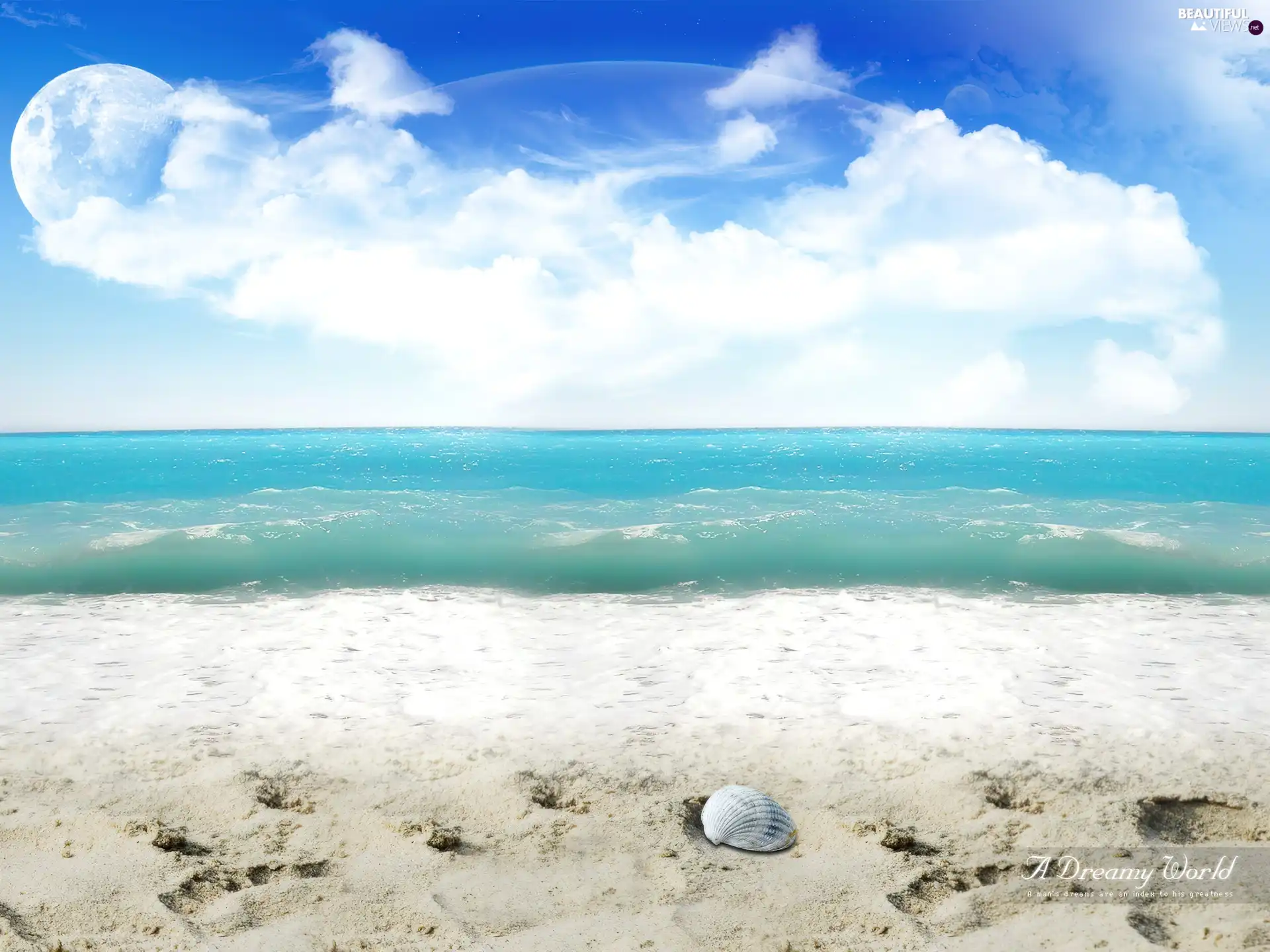shell, sea, Beaches