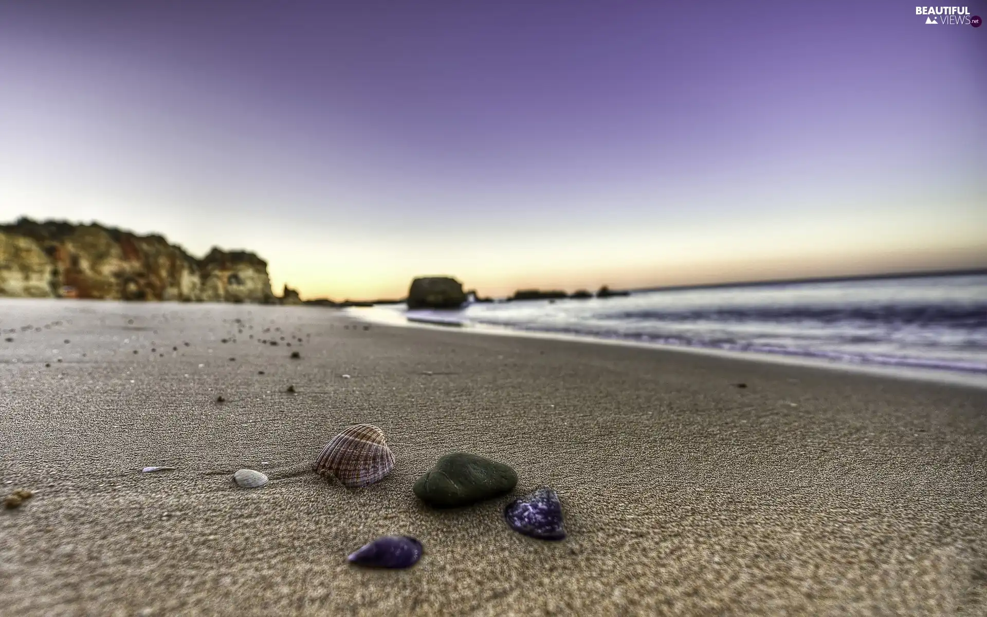 sea, Beaches, Shells, Waves