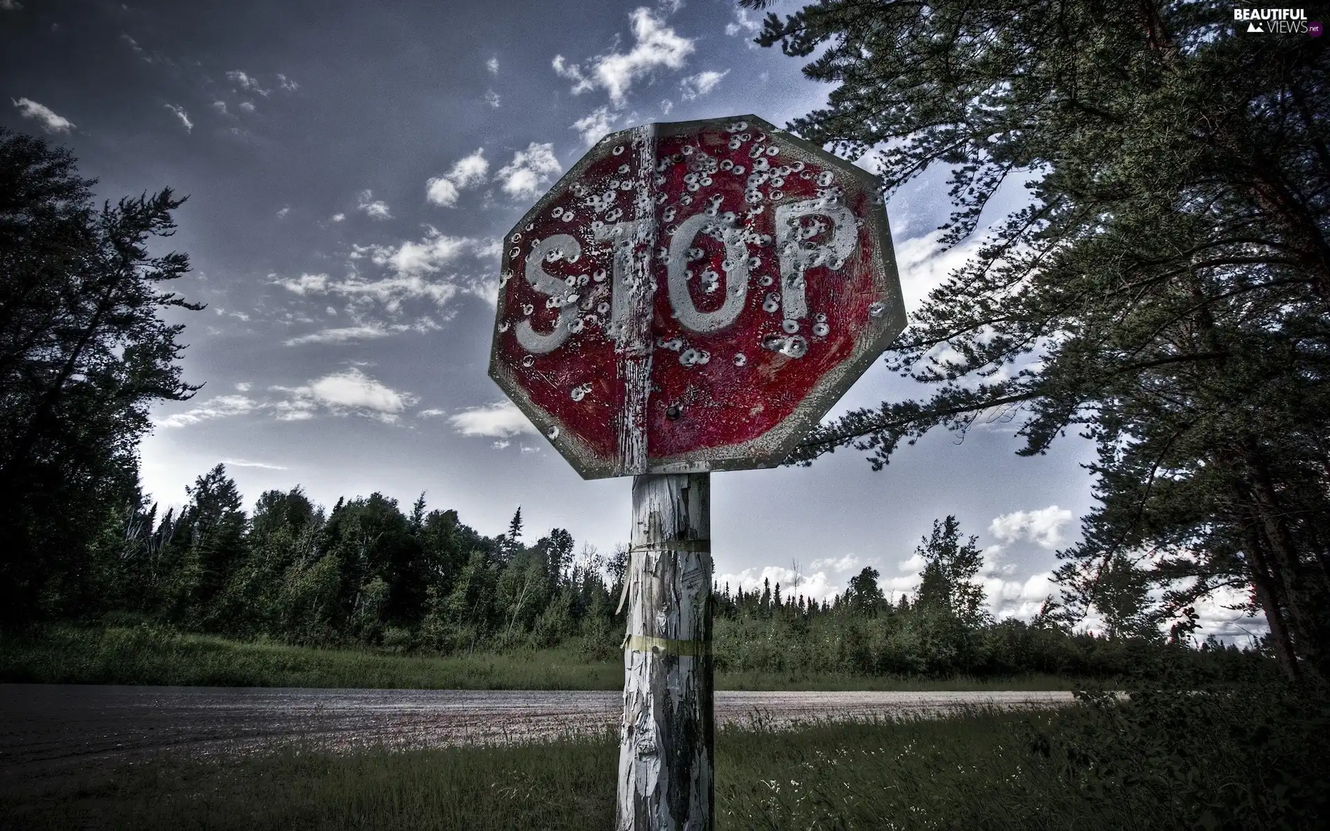 Sign, forest, Way