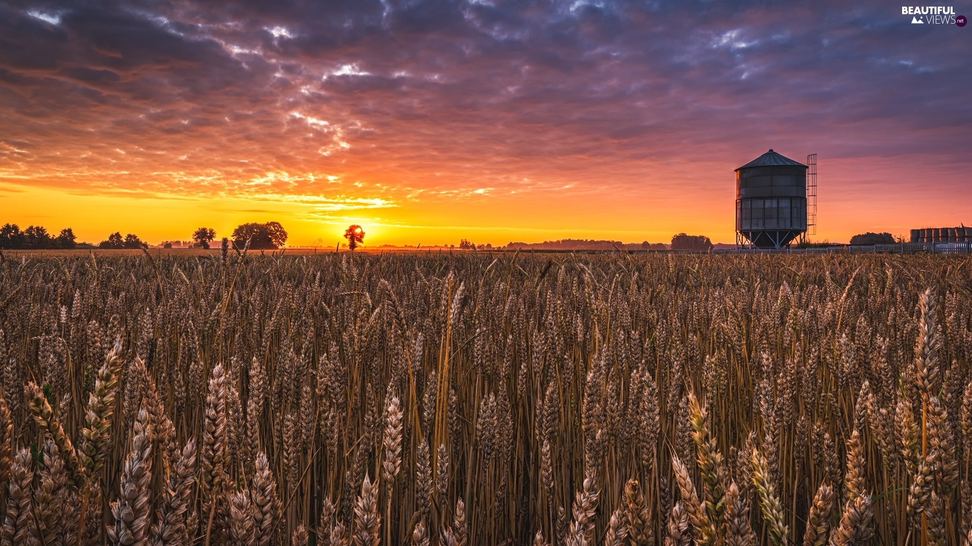 viewes, corn, clouds, trees, Field, Great Sunsets, silo