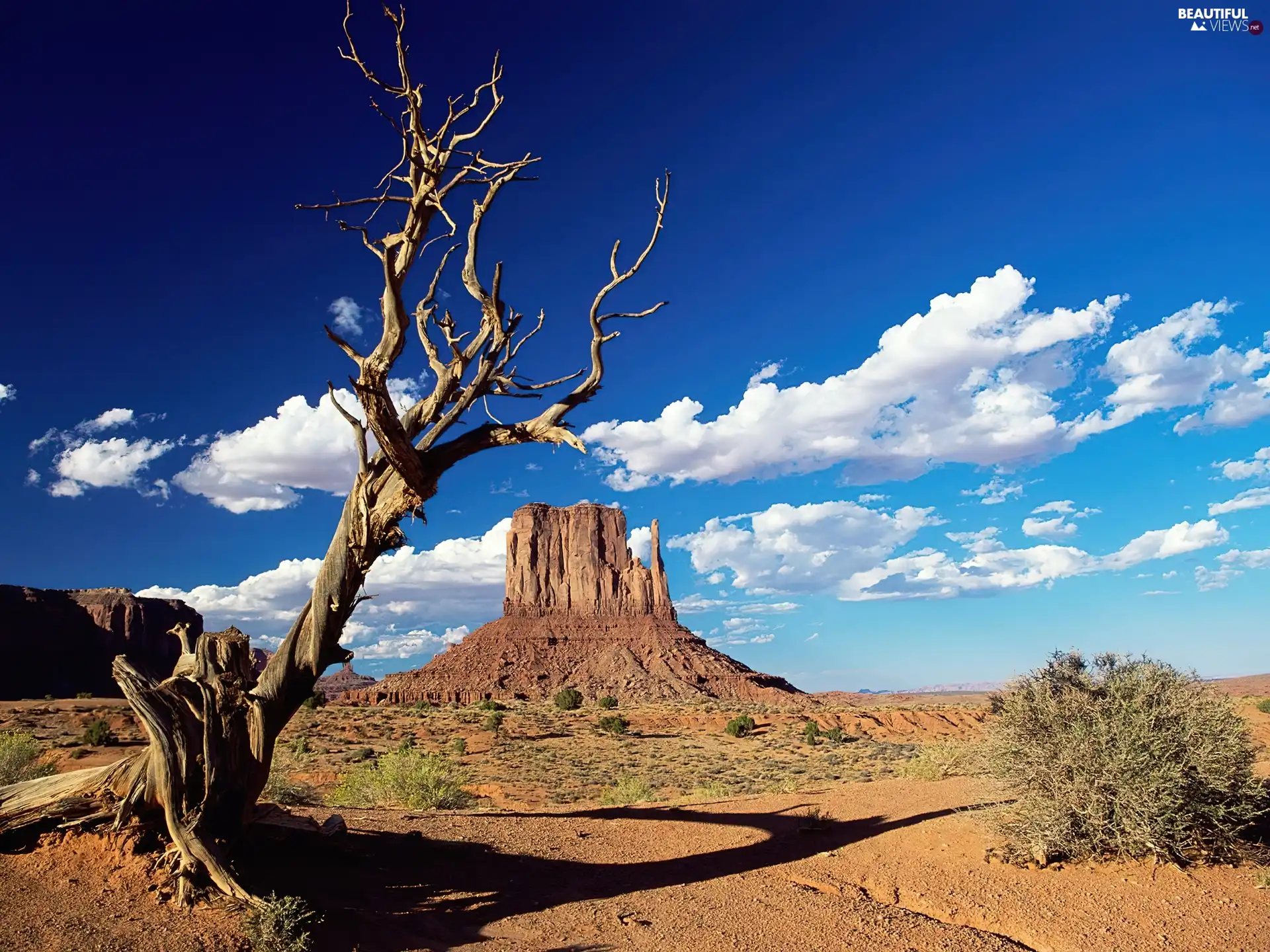 arid, canyon, Sky, trees