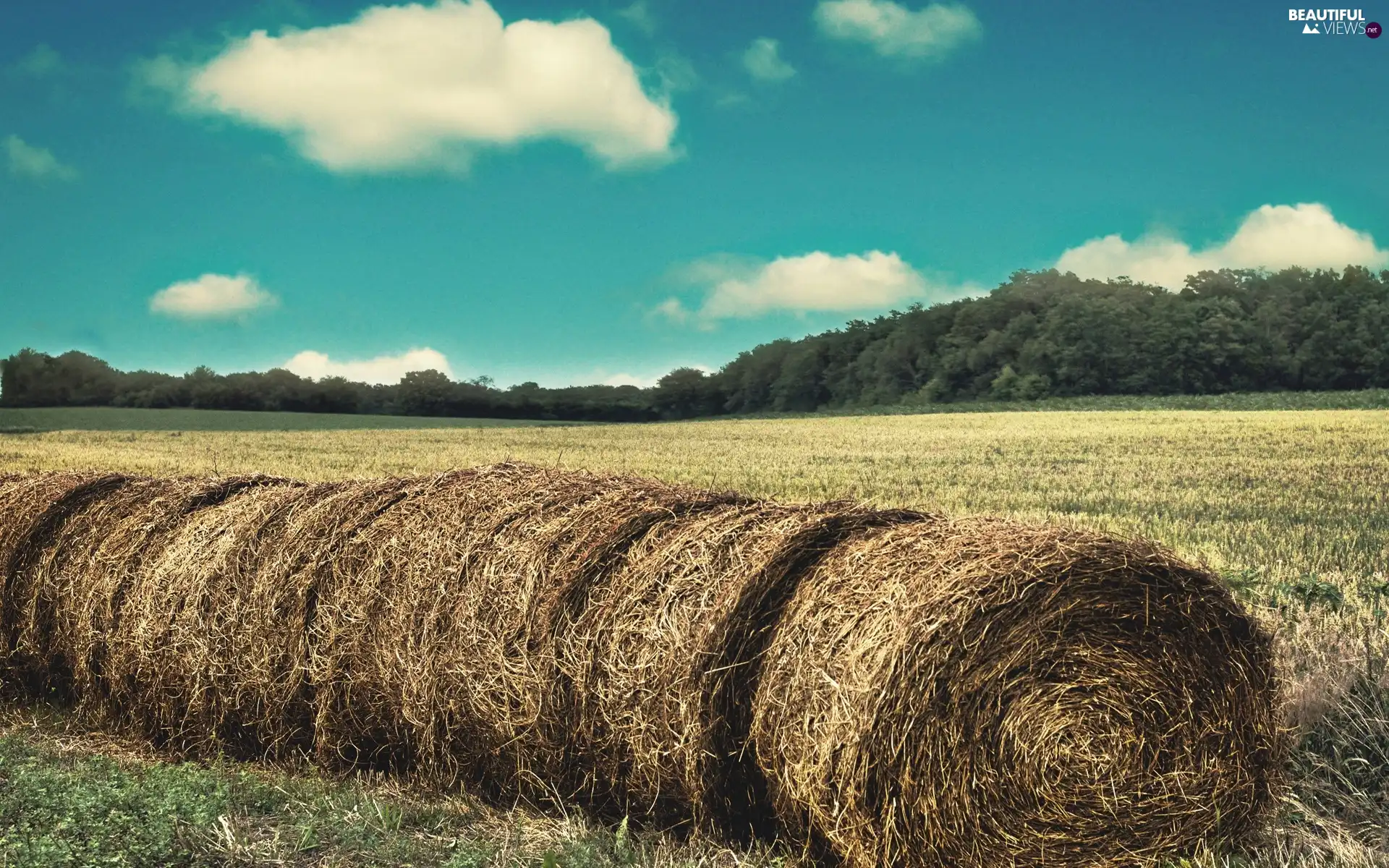 Bale, Field, Sky, straw