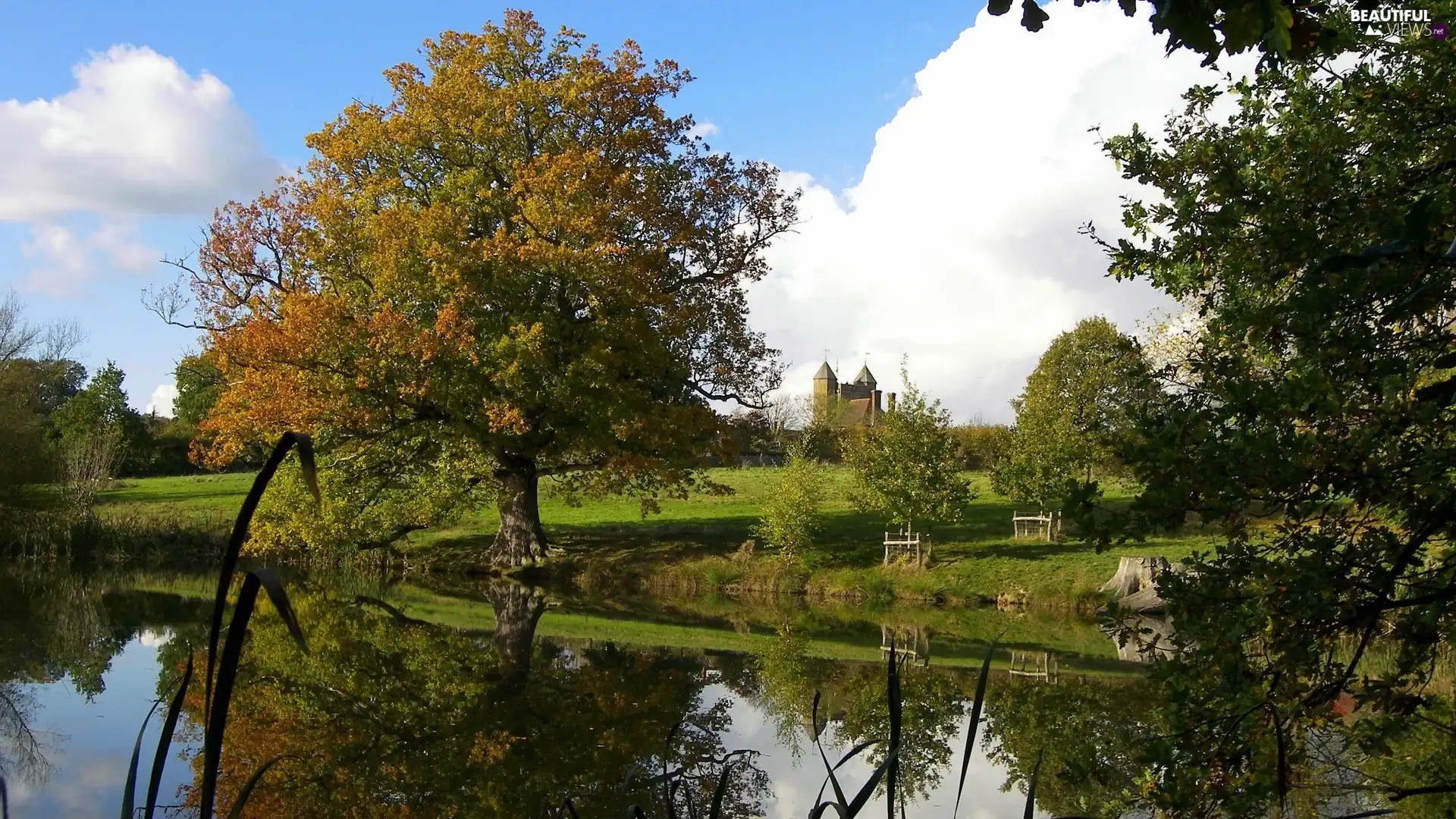 Sky, Castle, trees, viewes, lake