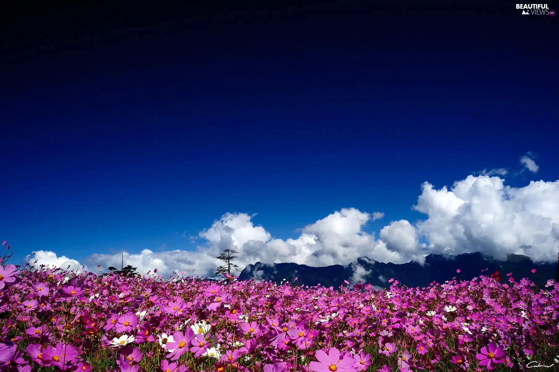 Sky, Cosmos, clouds