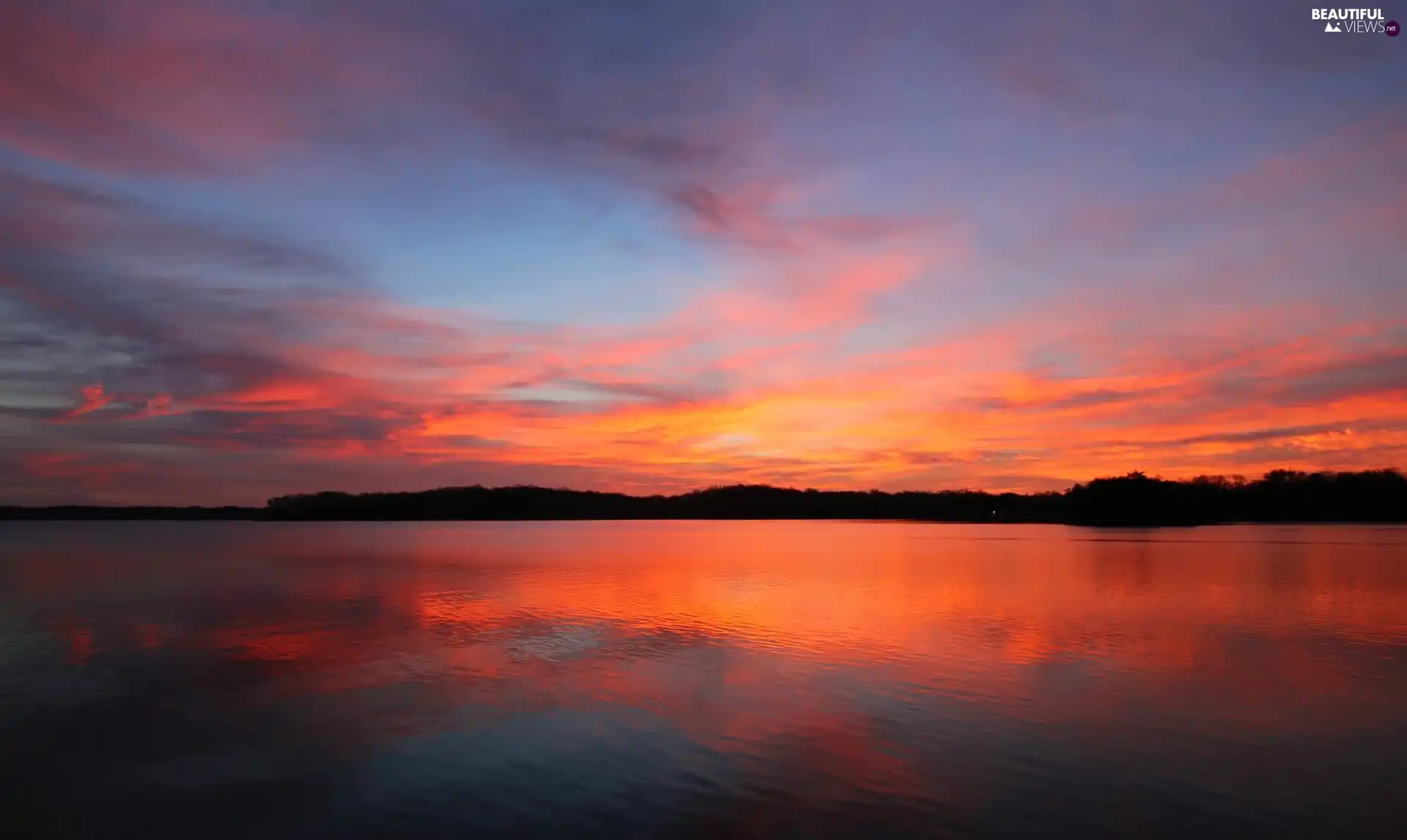 Sky, lake, forest