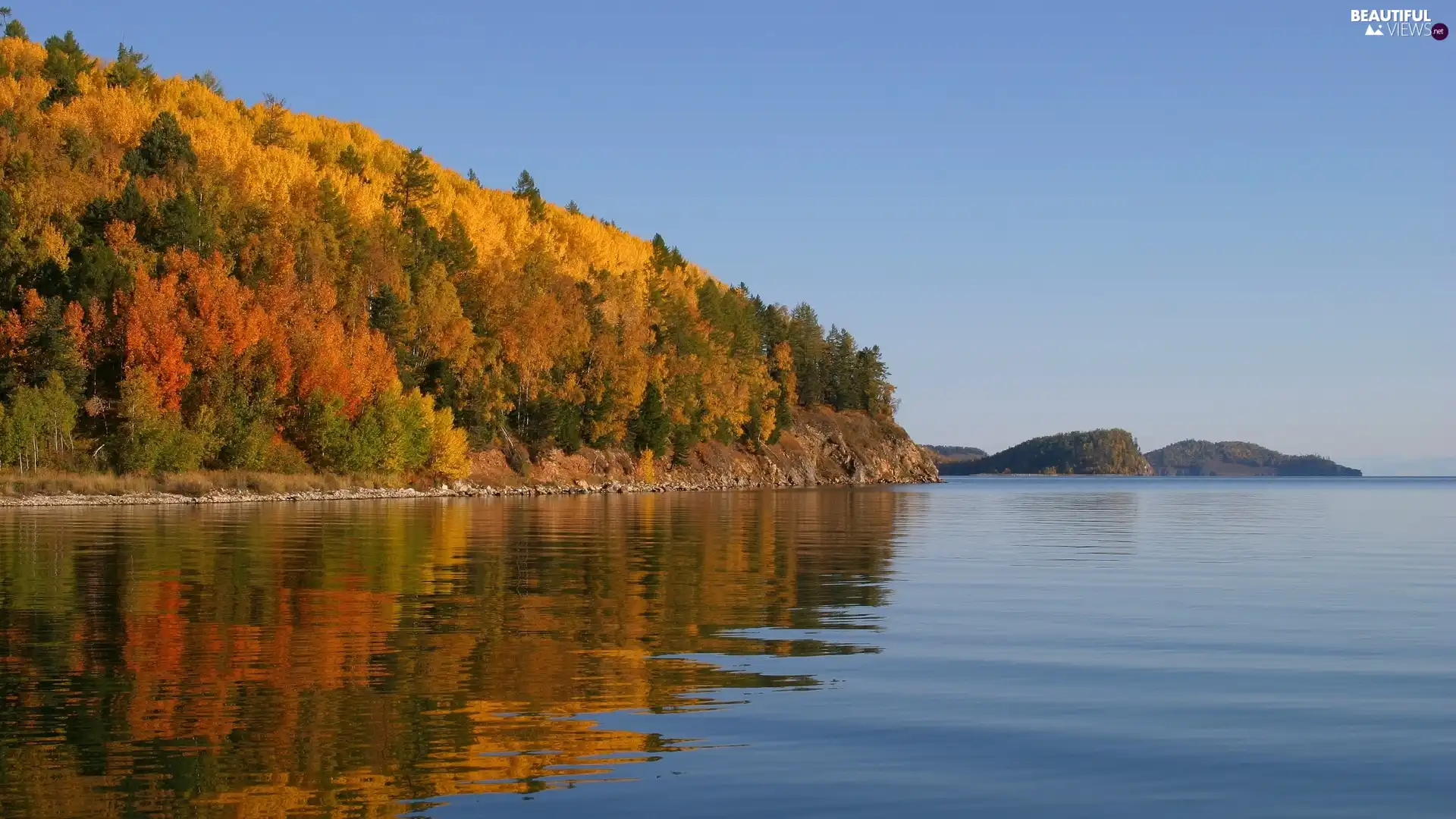 Sky, forest, lake