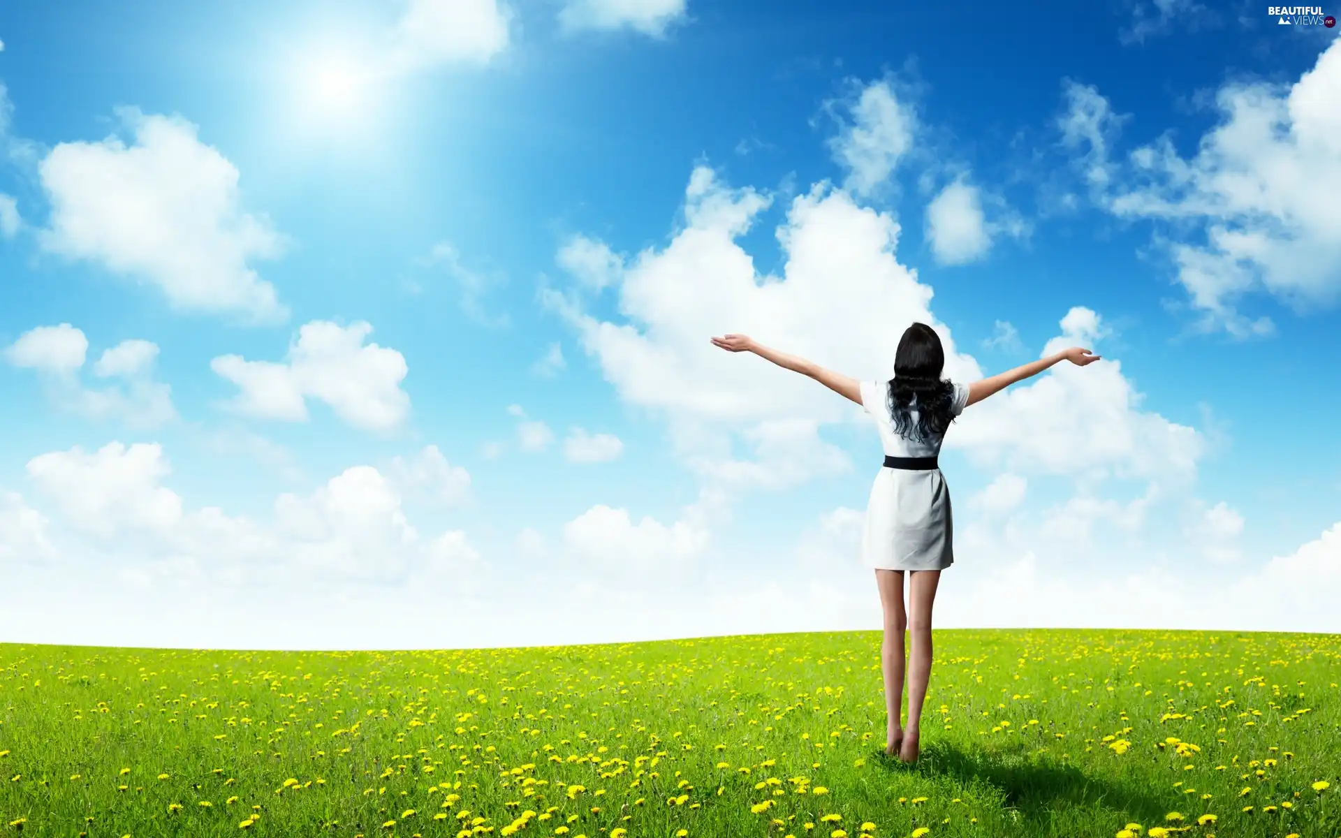 Meadow, Flowers, Sky, girl