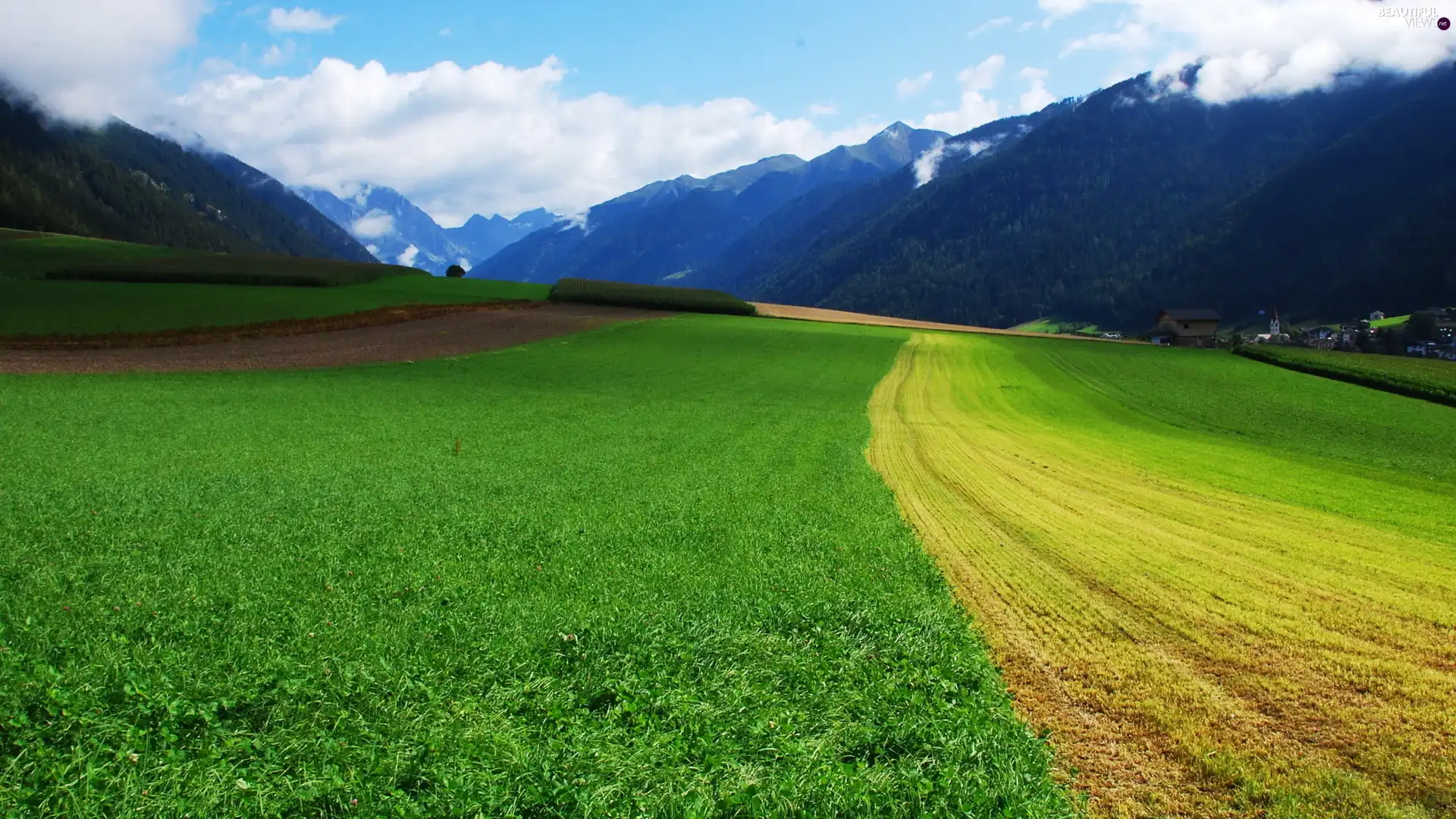 Sky, field, Mountains