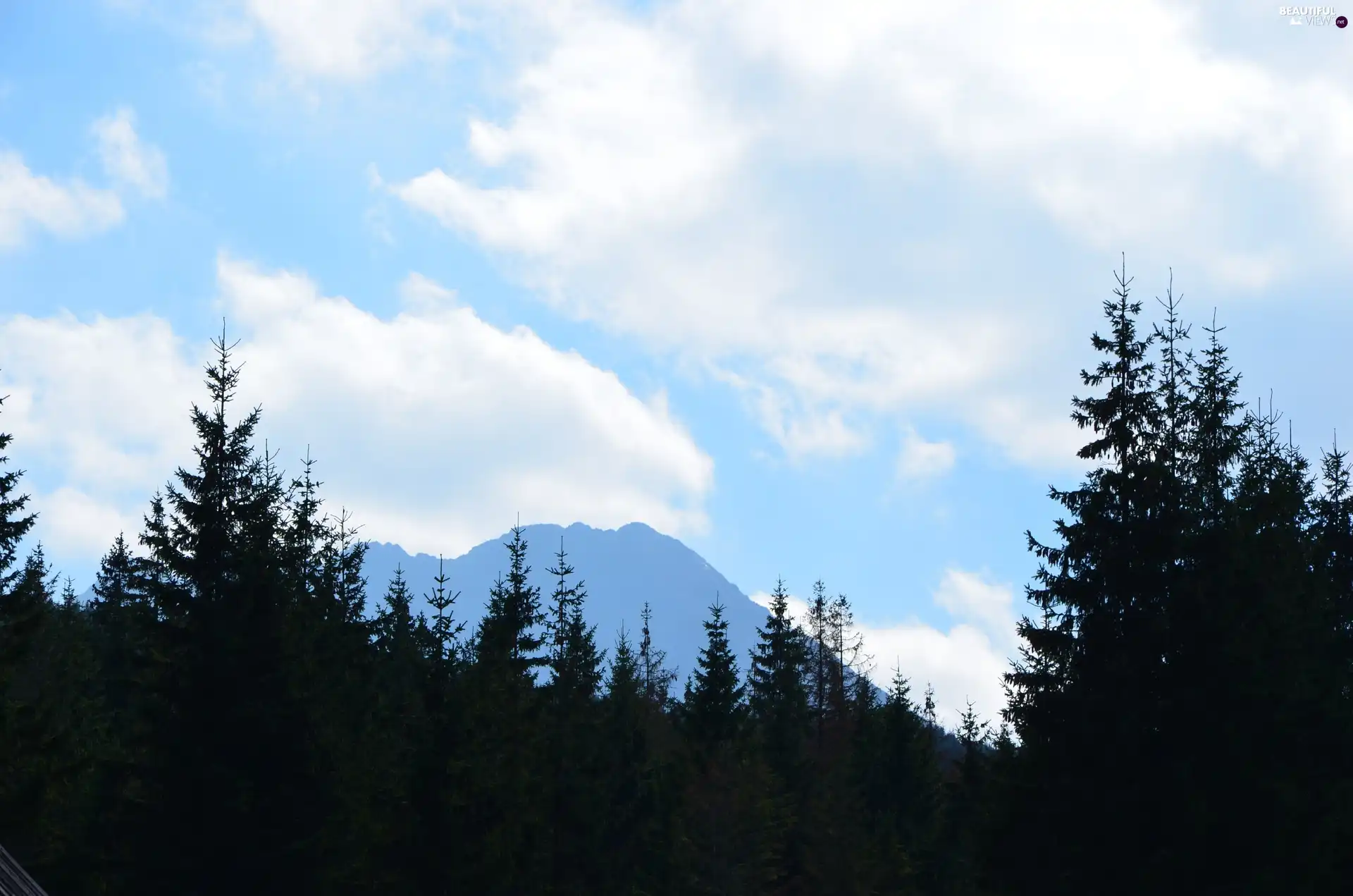 Mountains, viewes, Sky, trees