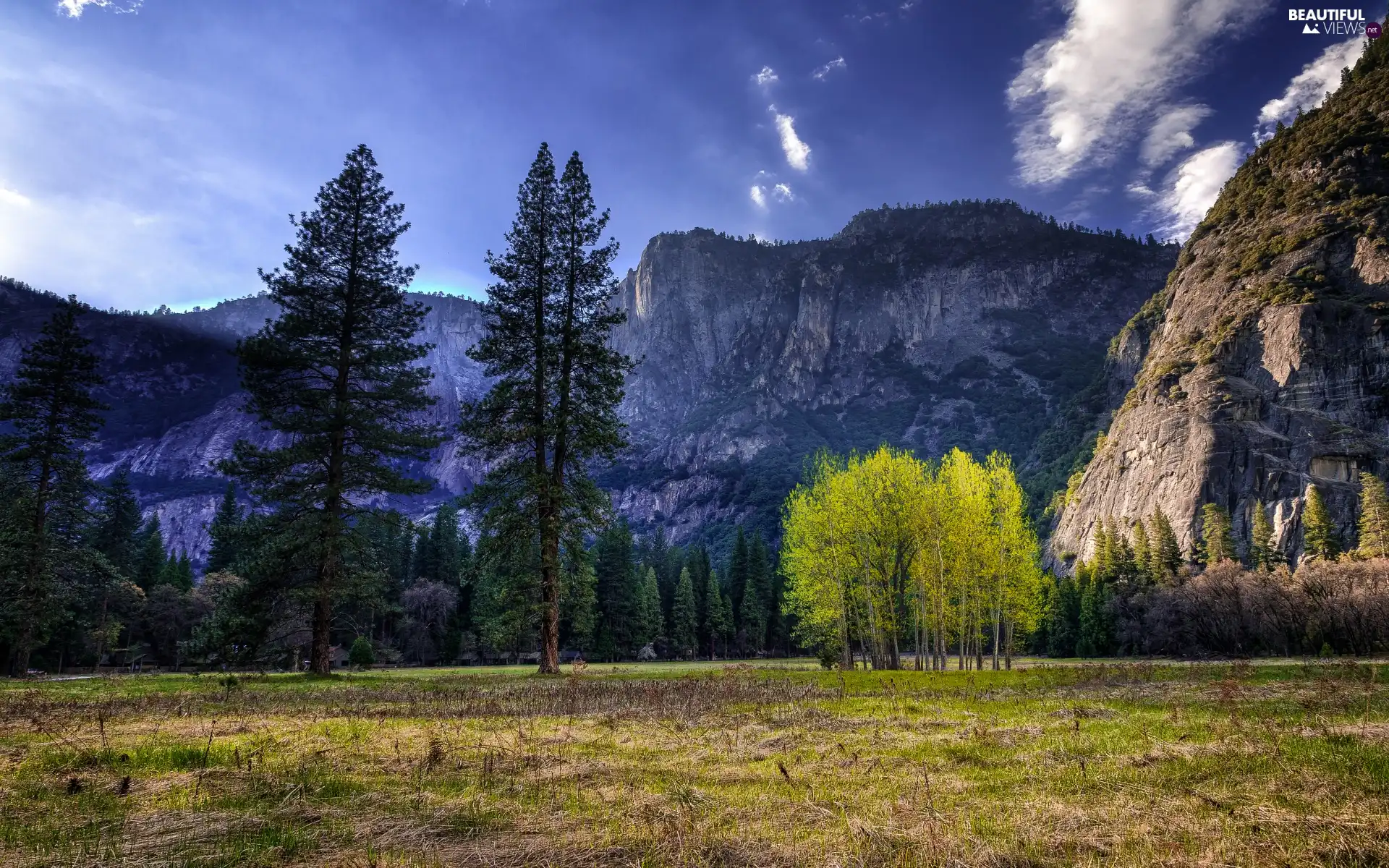 Mountains, viewes, Sky, trees