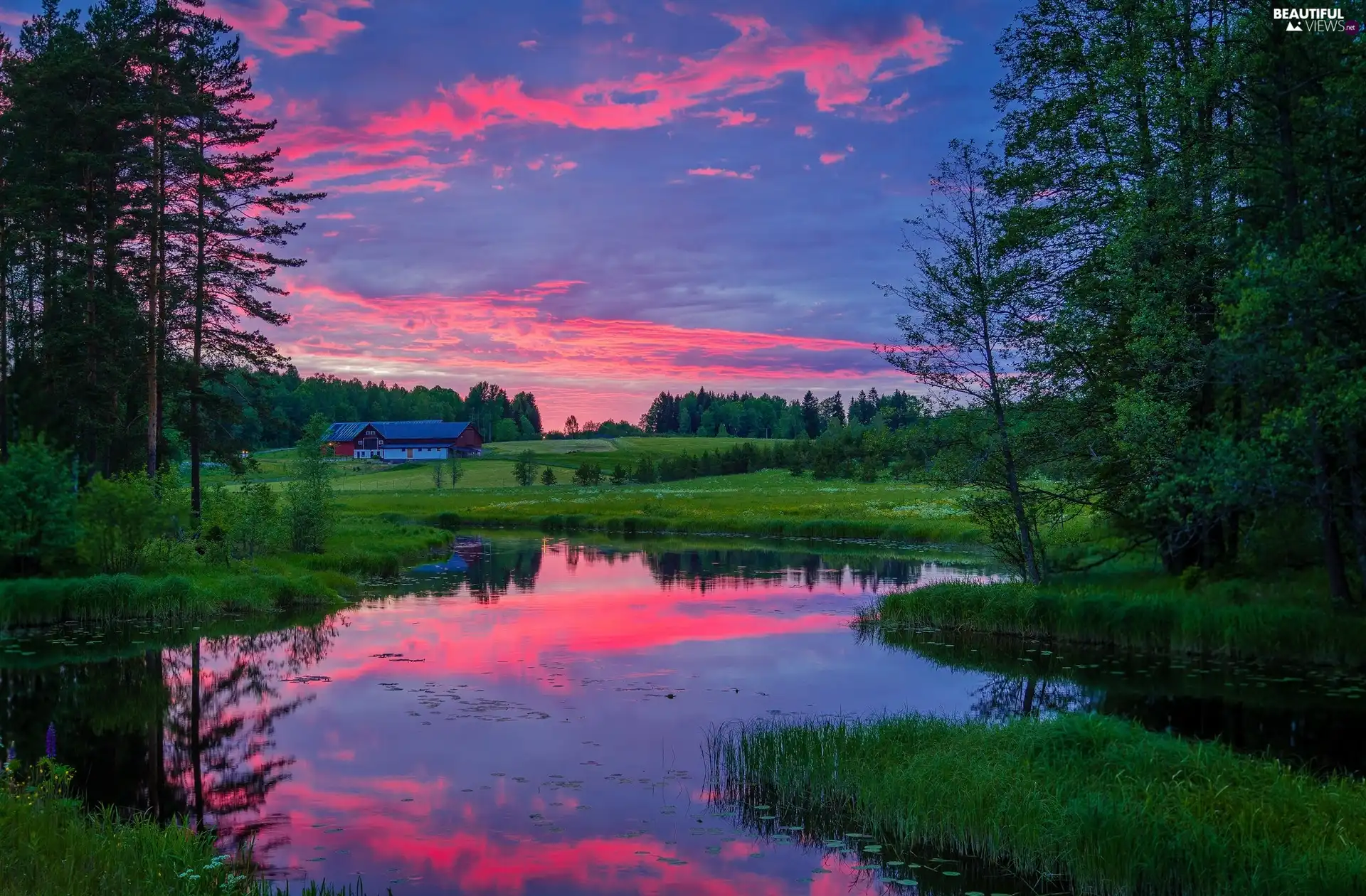 Municipality of Arvika, Sweden, River, trees, Sky, reflection, house, Pink, viewes