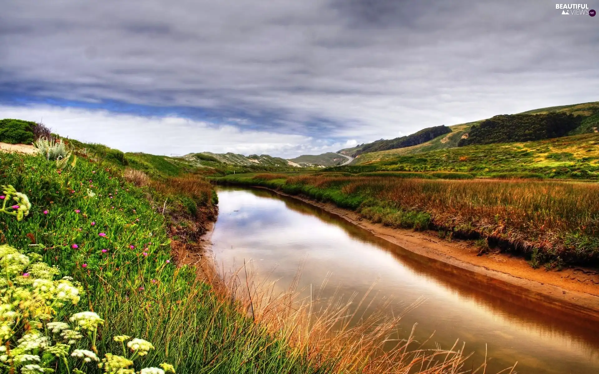 River, Flowers, Sky, grass