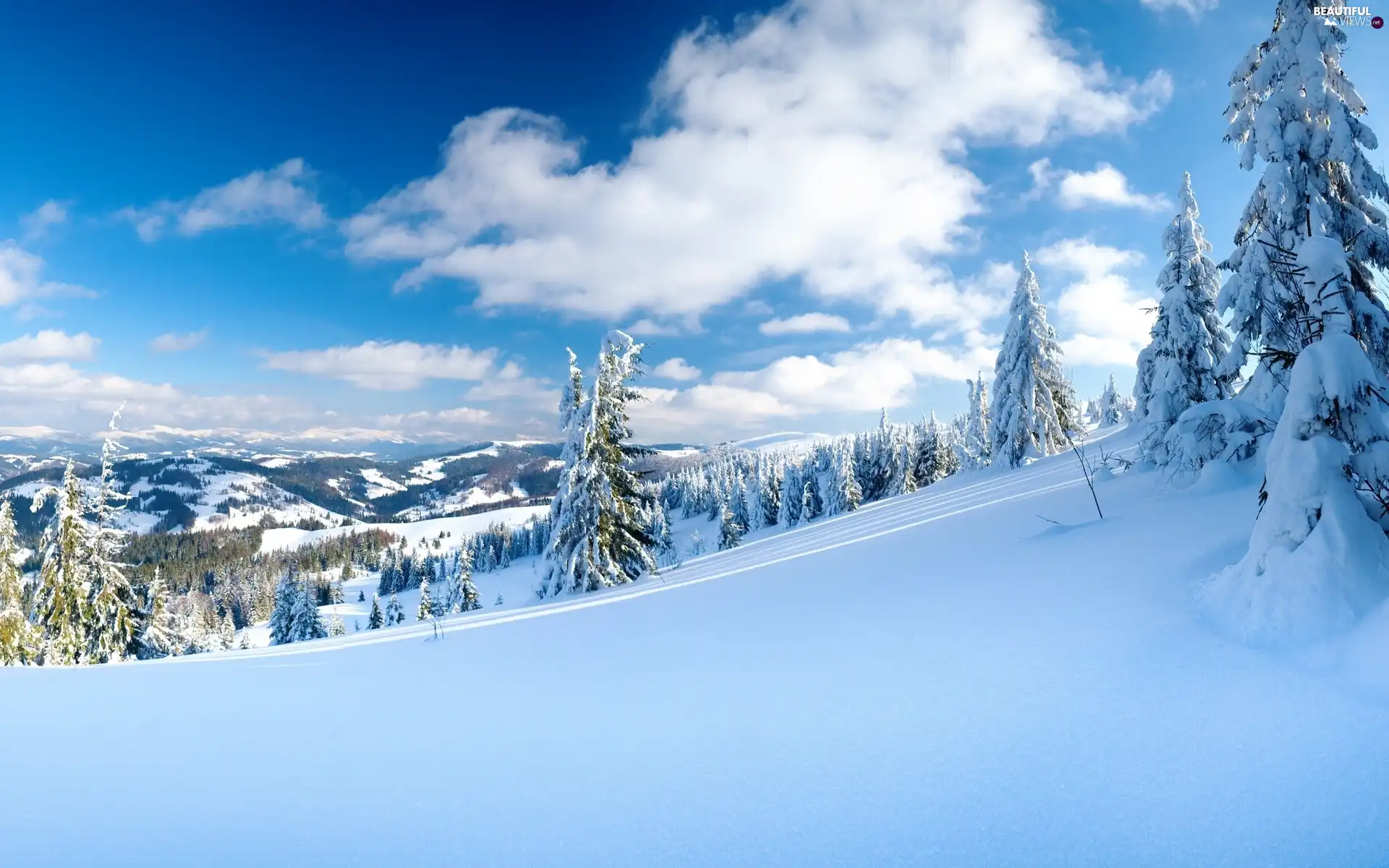 Sky, snow, trees, viewes, The Hills