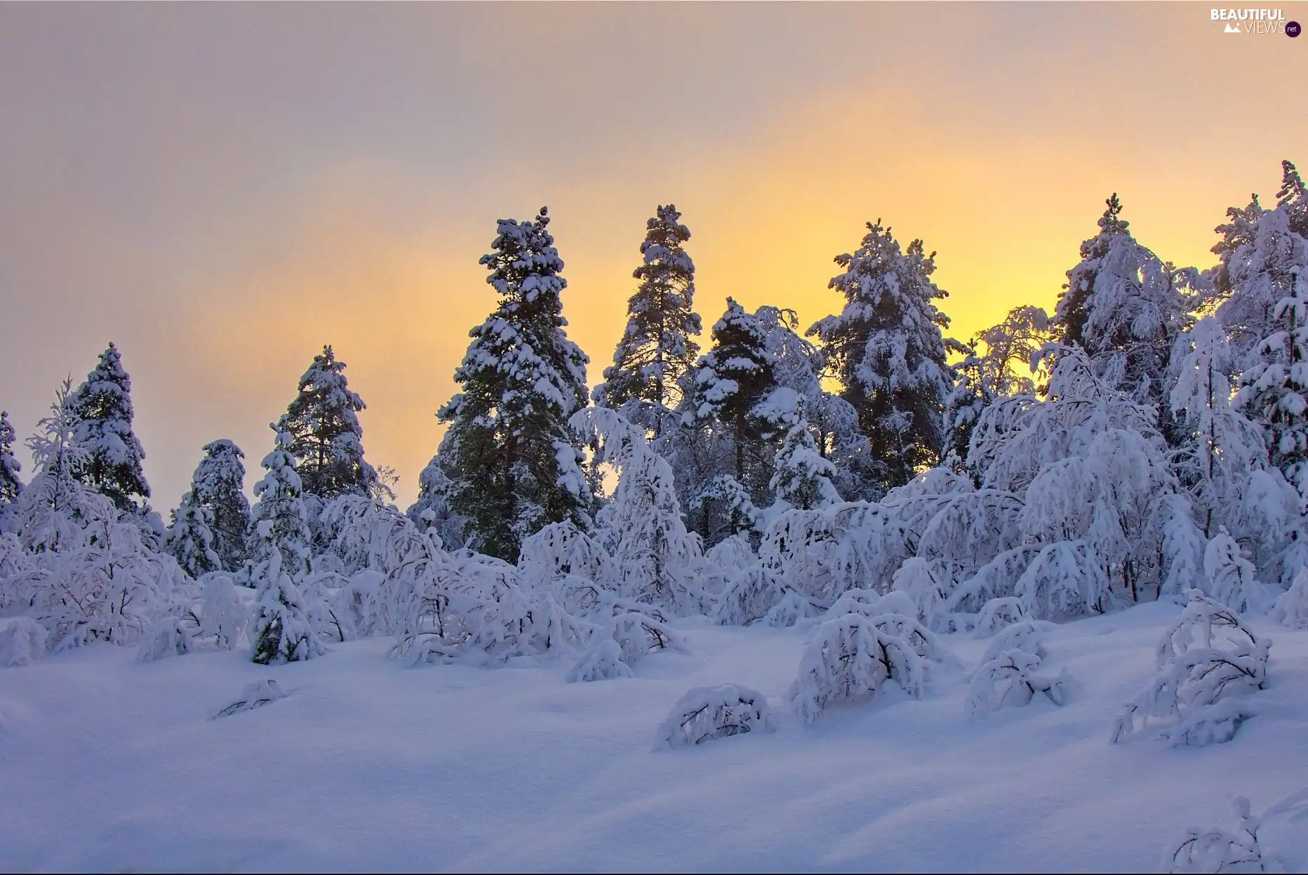 snow, viewes, Sky, trees