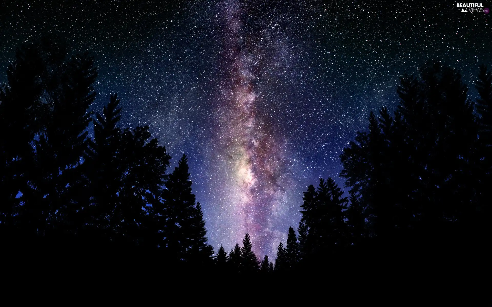 Sky, forest, Starry