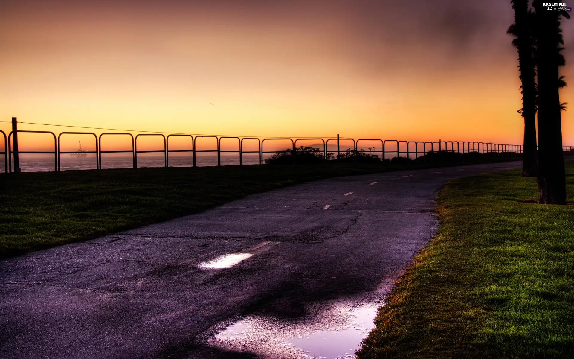 Street, Great Sunsets, Sky, grass