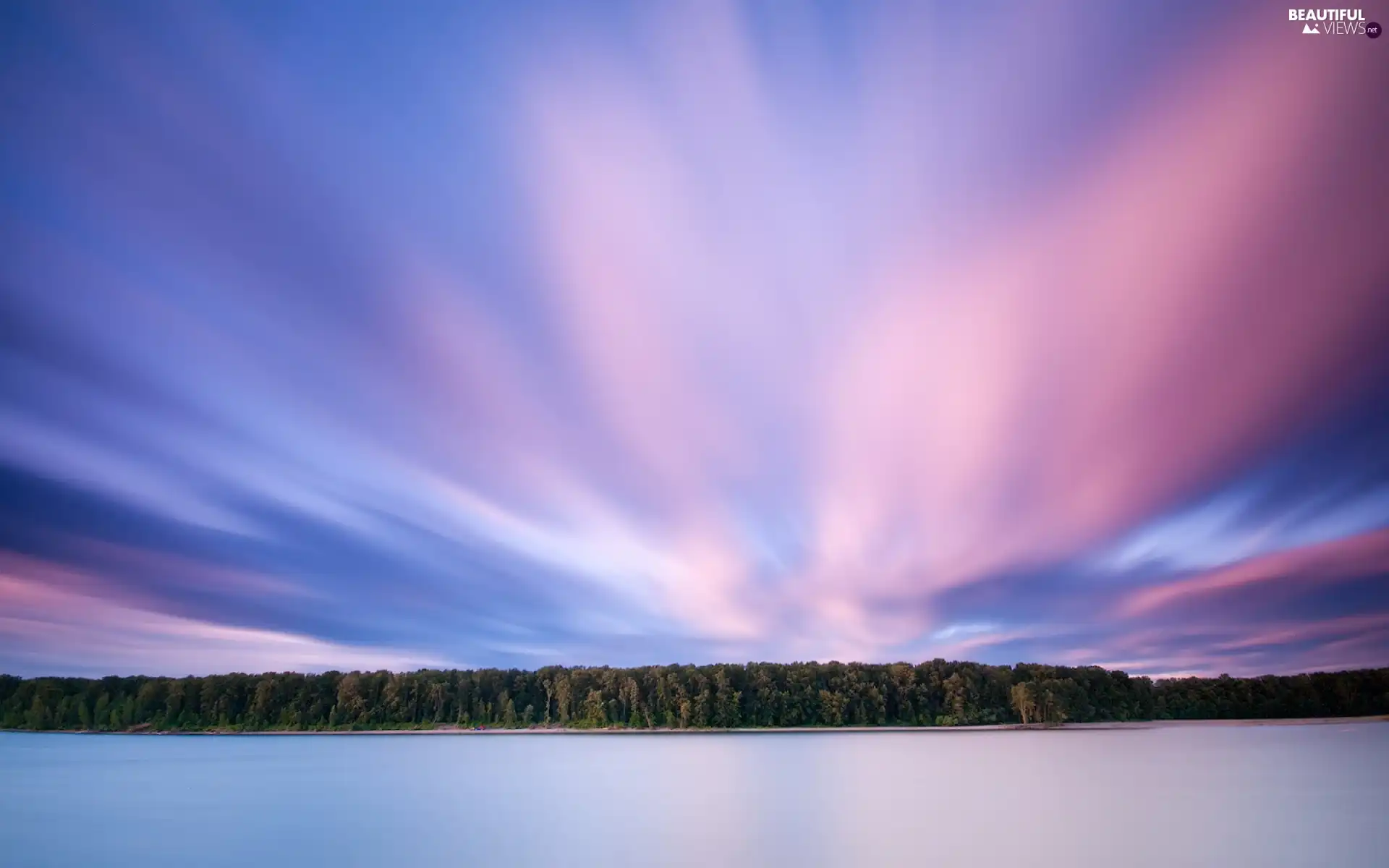 water, color, Sky, forest