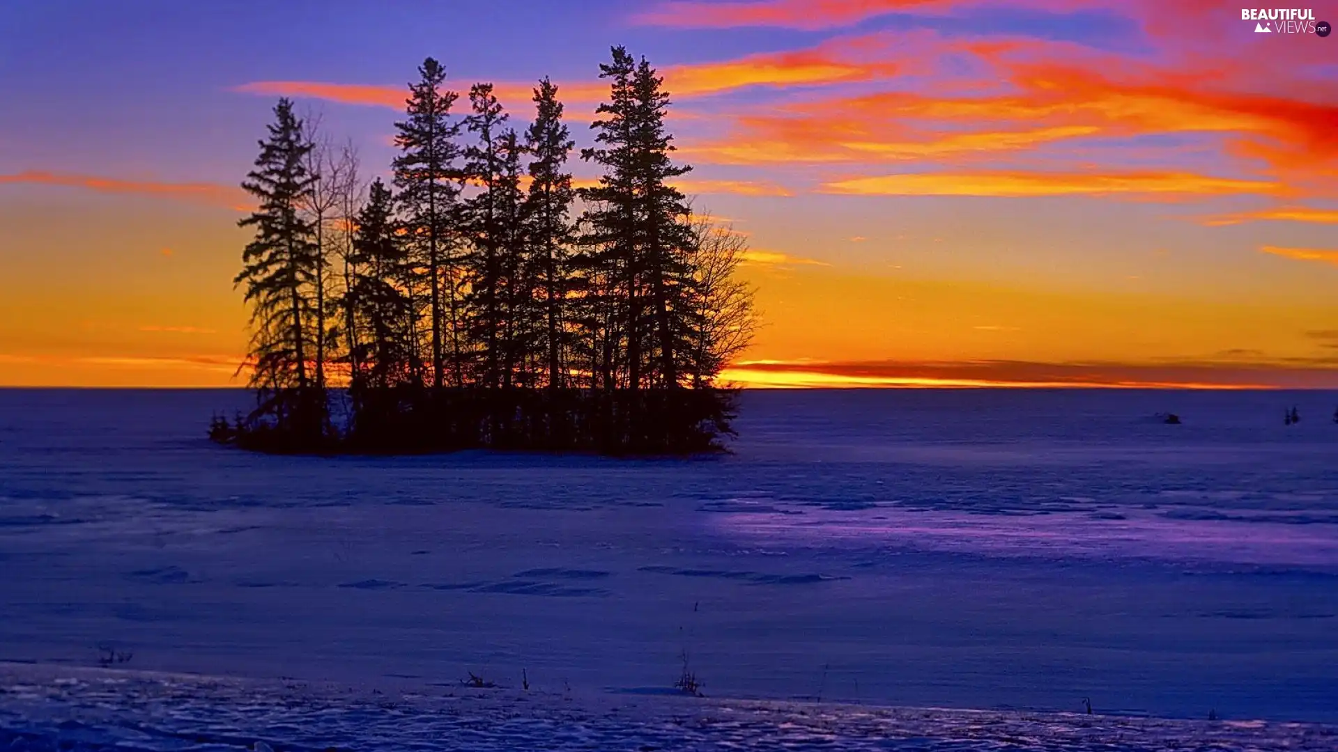 Sky, winter, trees, viewes, Meadow