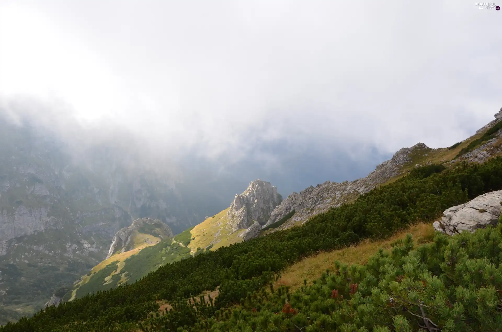 Mountains, slope