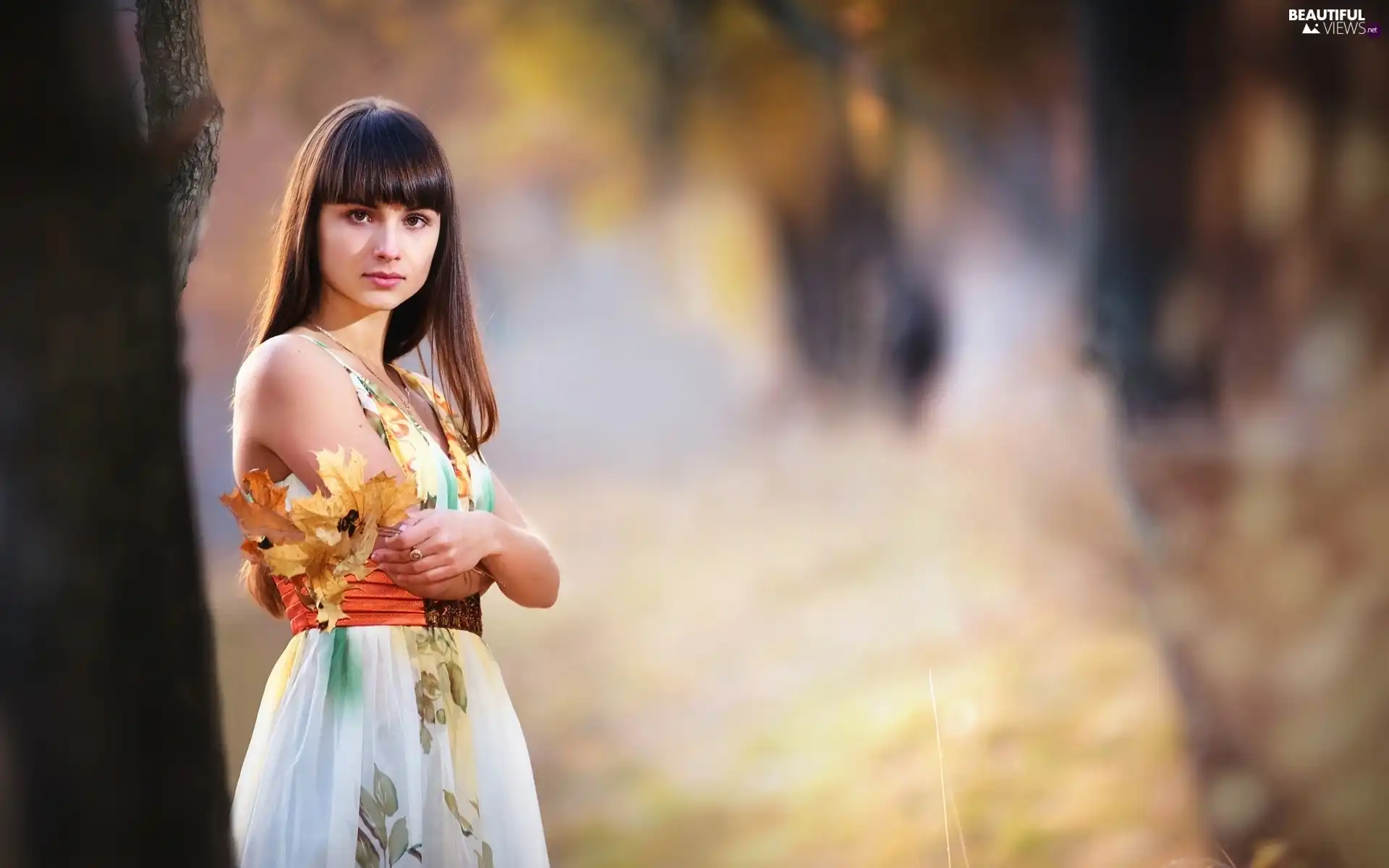viewes, forest, Leaves, trees, girl, small bunch, autumn