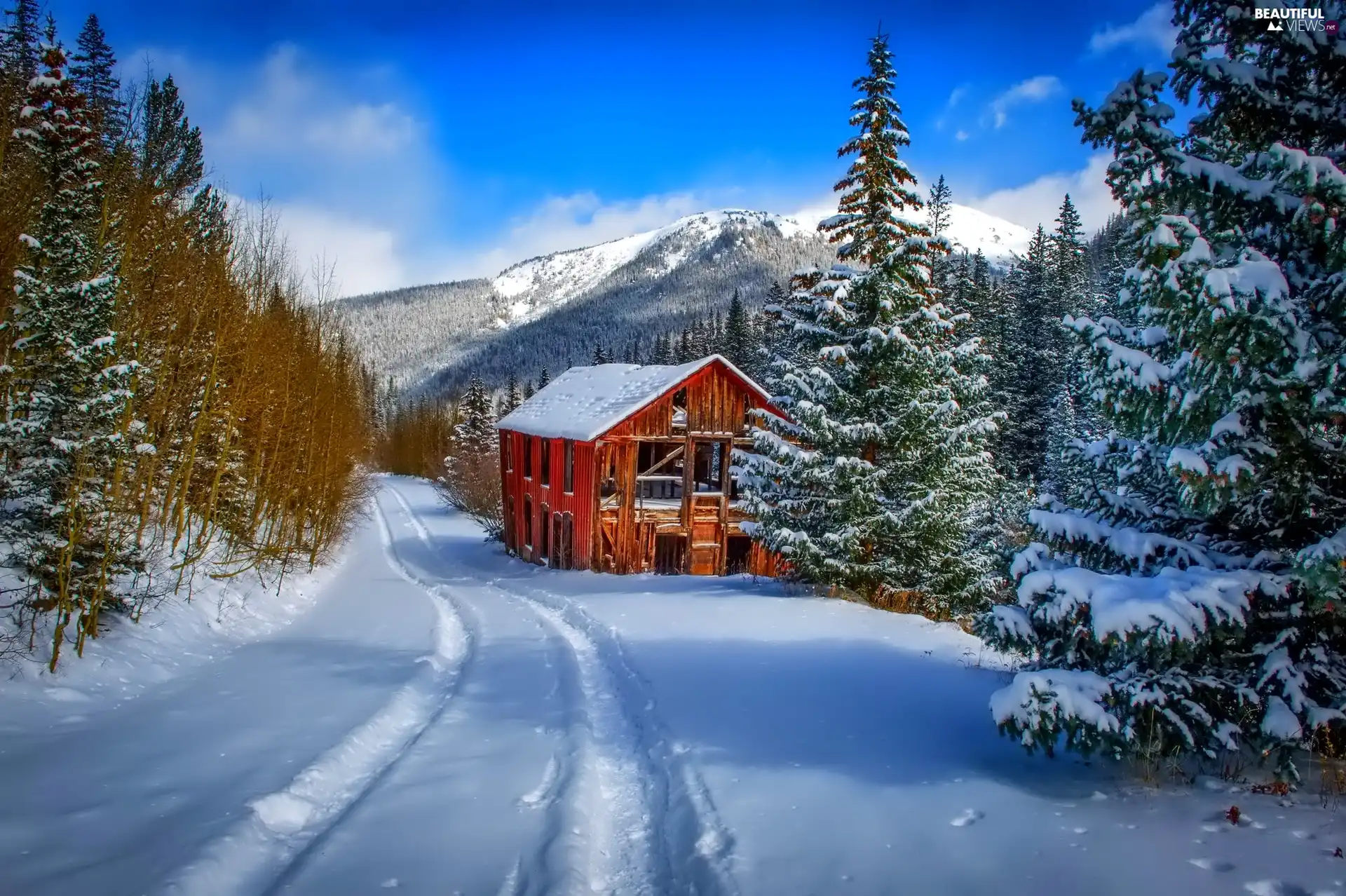 A snow-covered, Way, Mountains, forest, winter