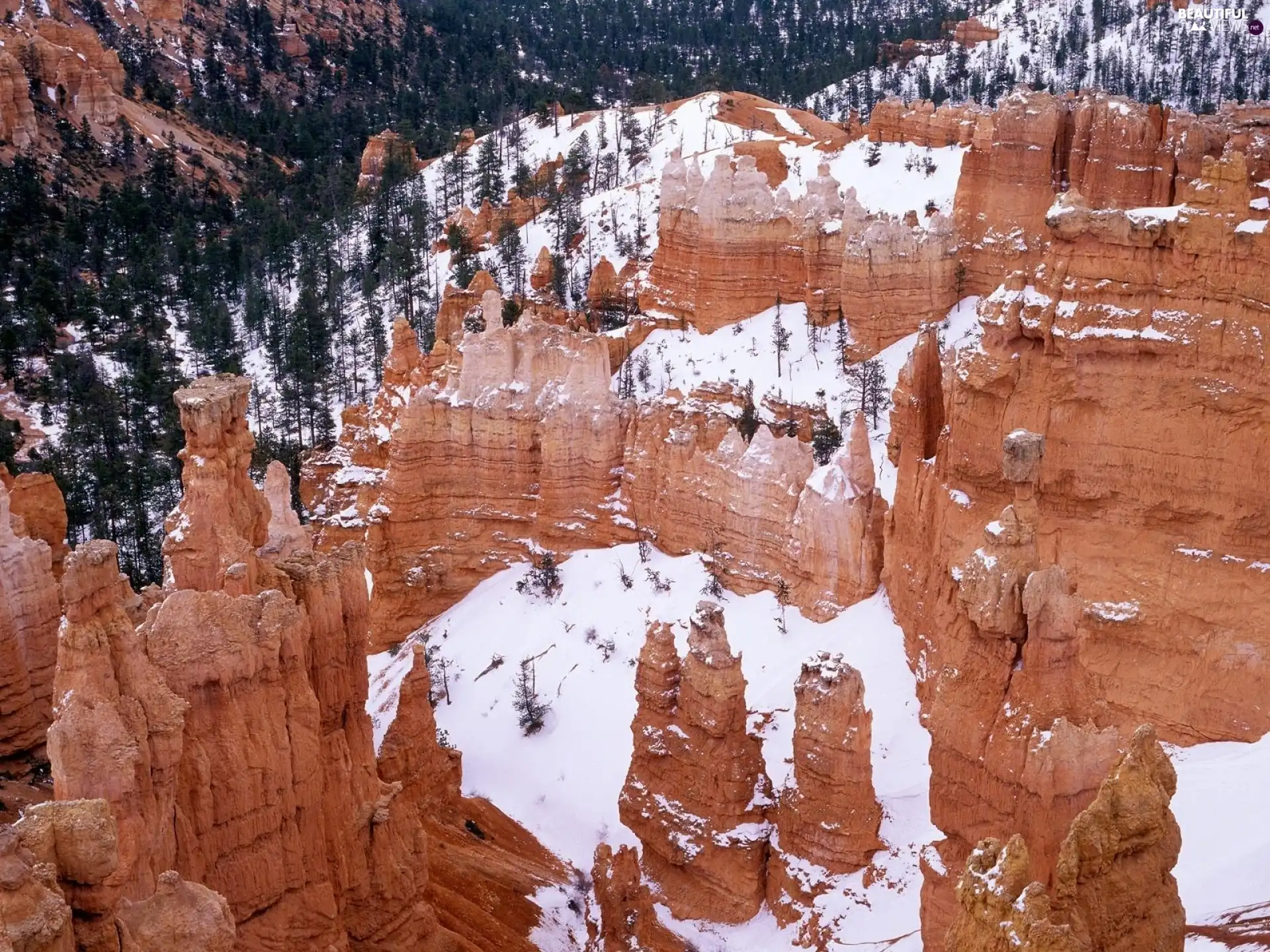 canyon, rocks, snow, Red
