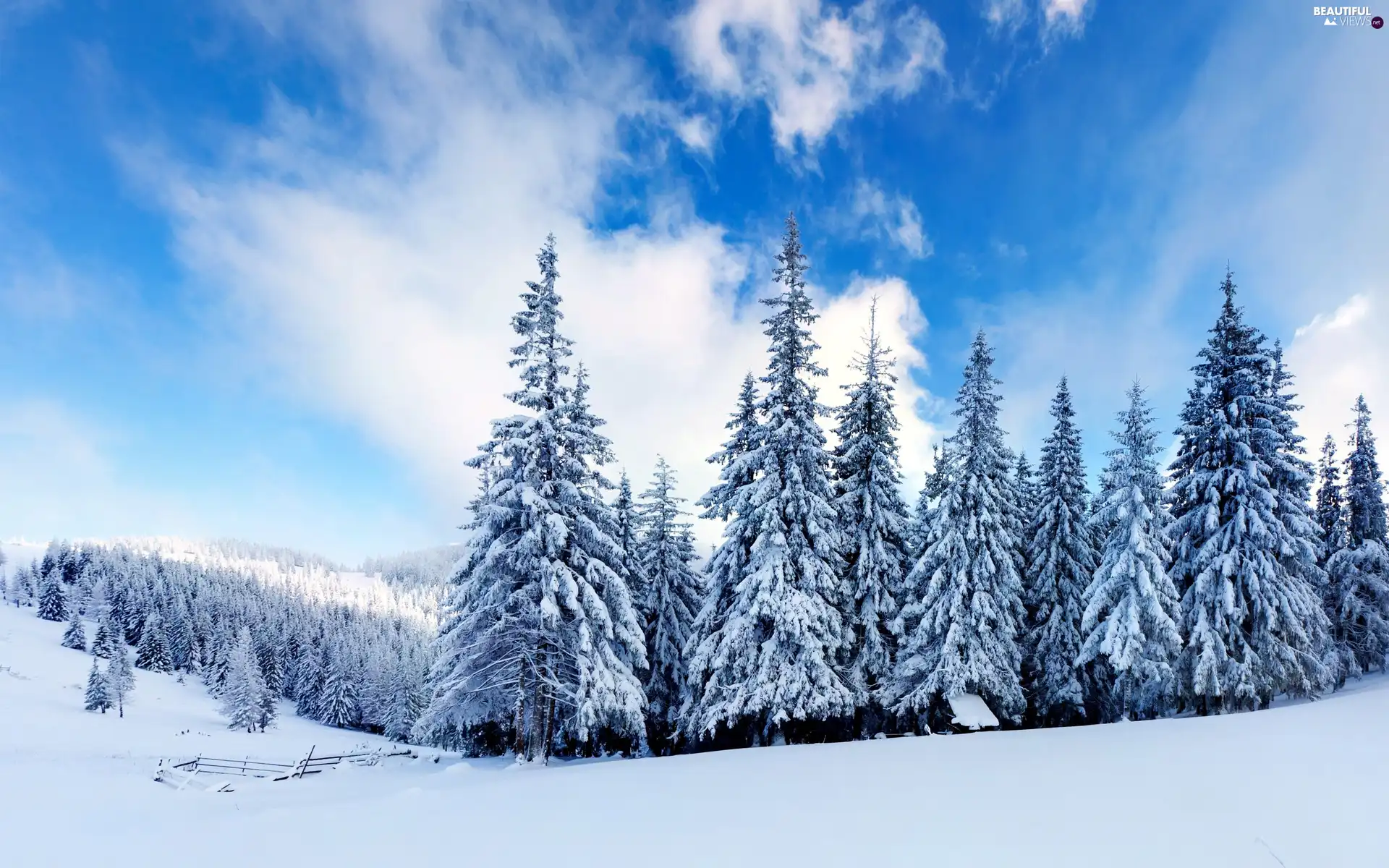 snow, Christmas, clouds