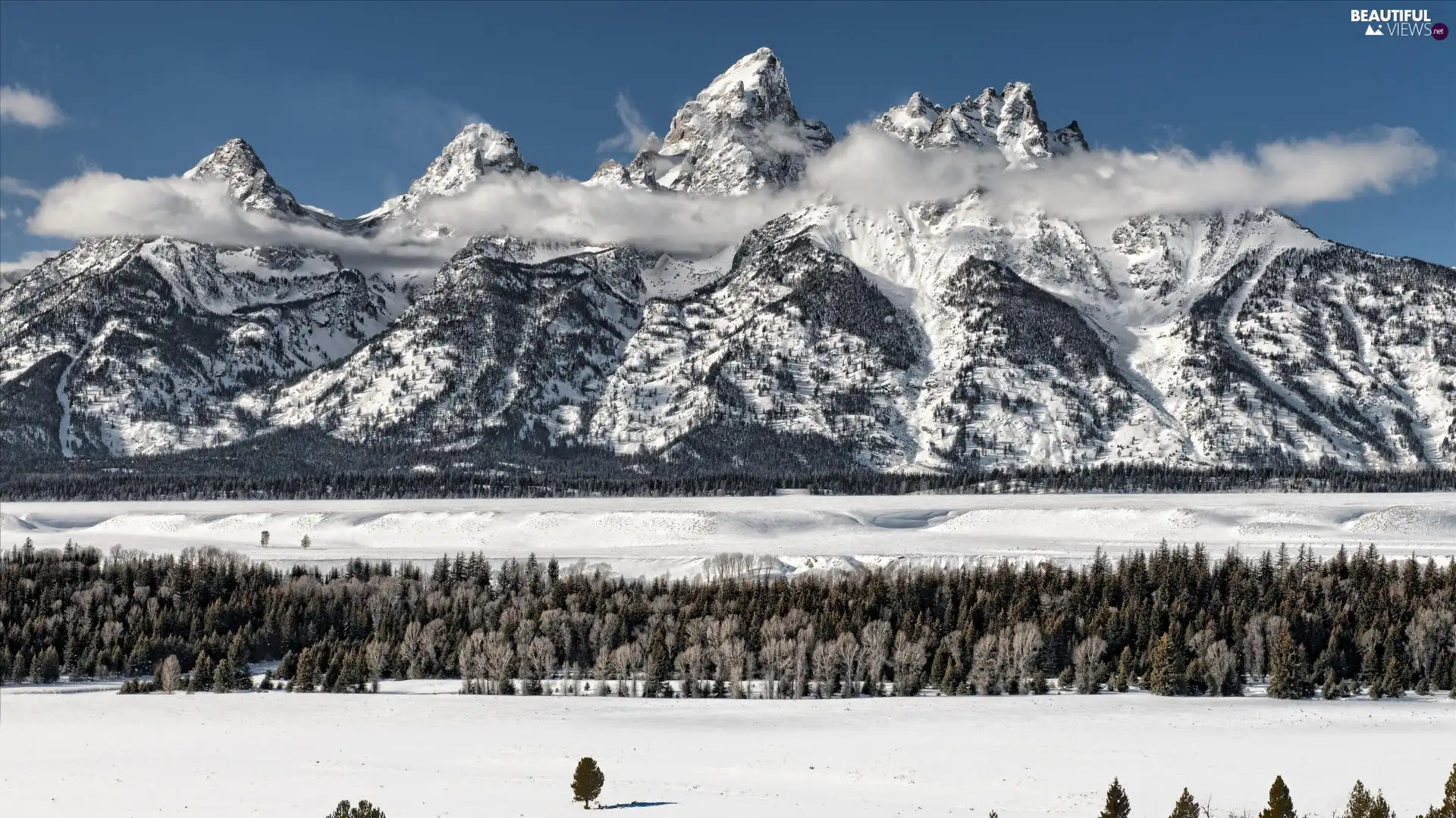 snow, drifts, clouds, forest, Mountains