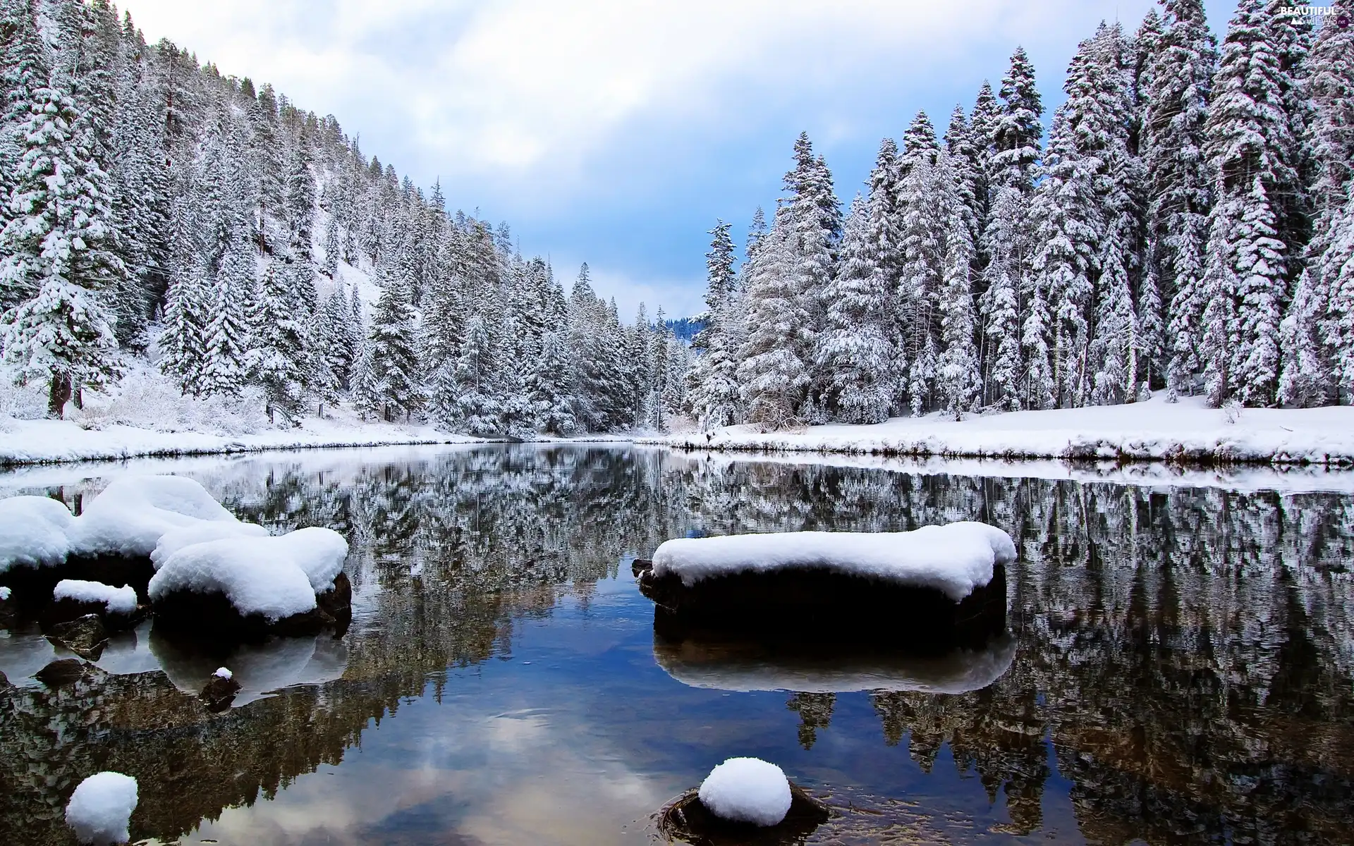 snow, River, forest
