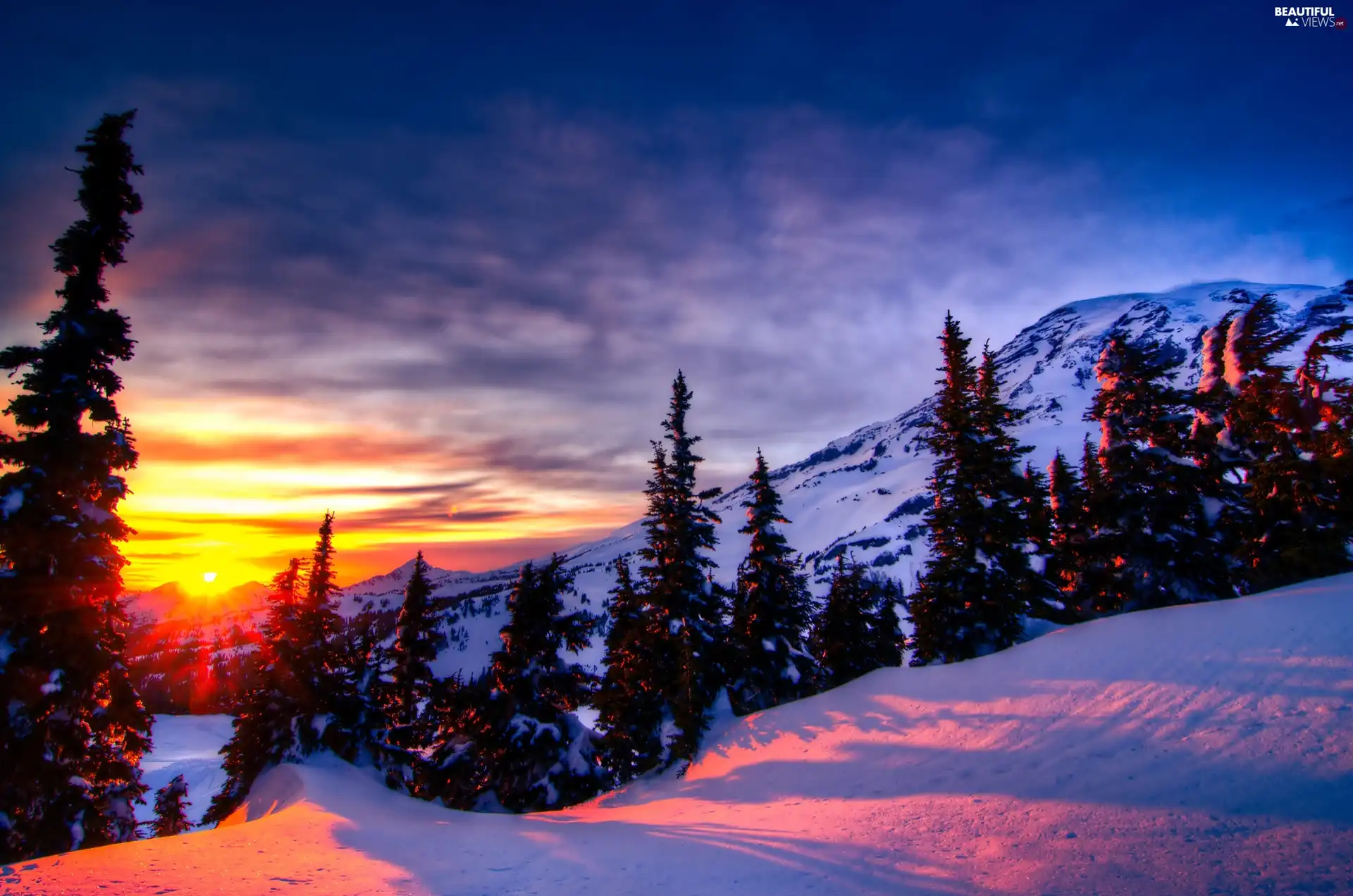 forest, Great Sunsets, snow, Mountains