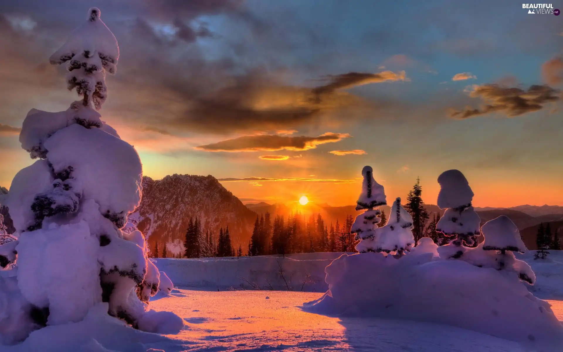 forest, clouds, snow, Great Sunsets