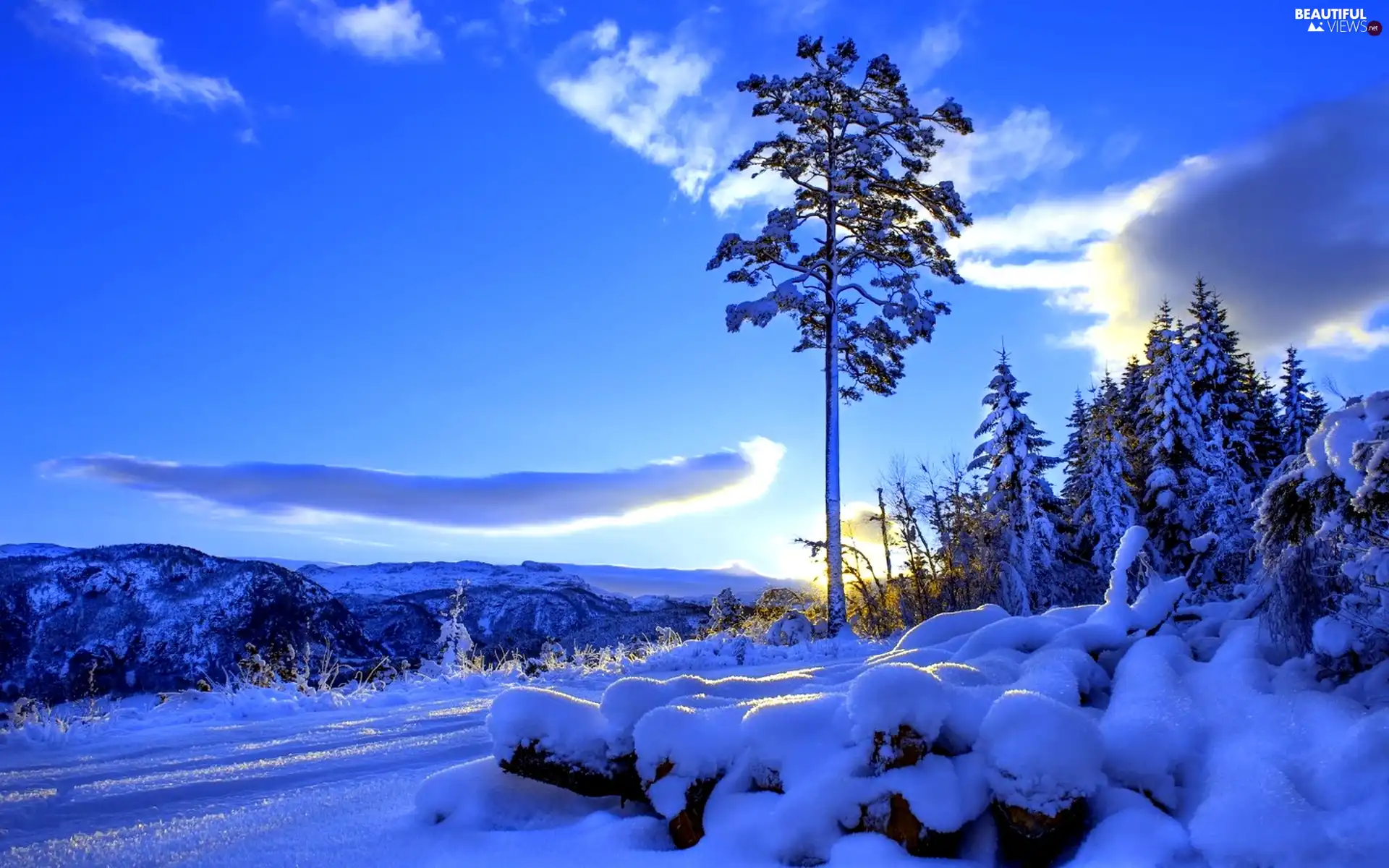 snow, trees, Mountains