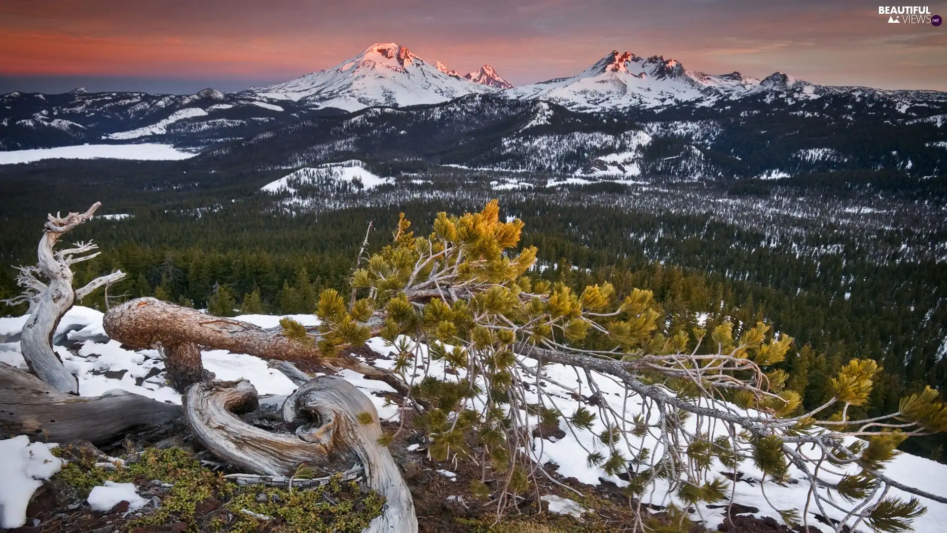 Mountains, viewes, snow, trees