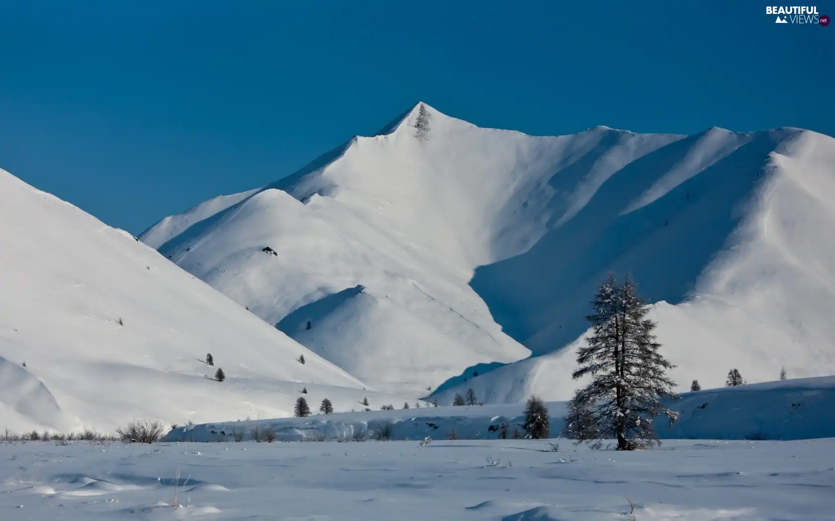 Sky, trees, snow, Mountains