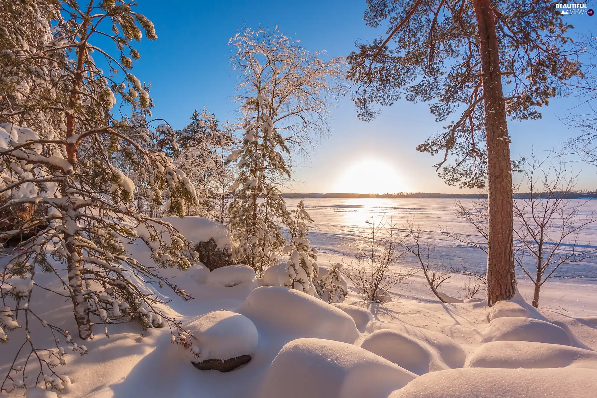 lake, viewes, snow, snow, trees, drifts, winter