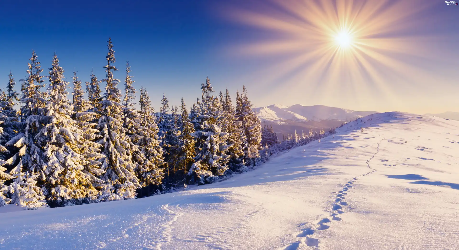 sun, Sky, snow, Christmas