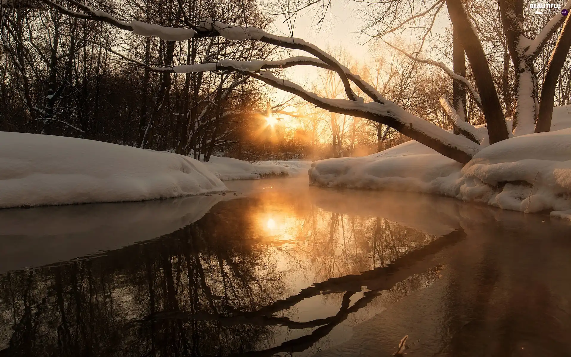 snow, winter, viewes, rays of the Sun, trees, River
