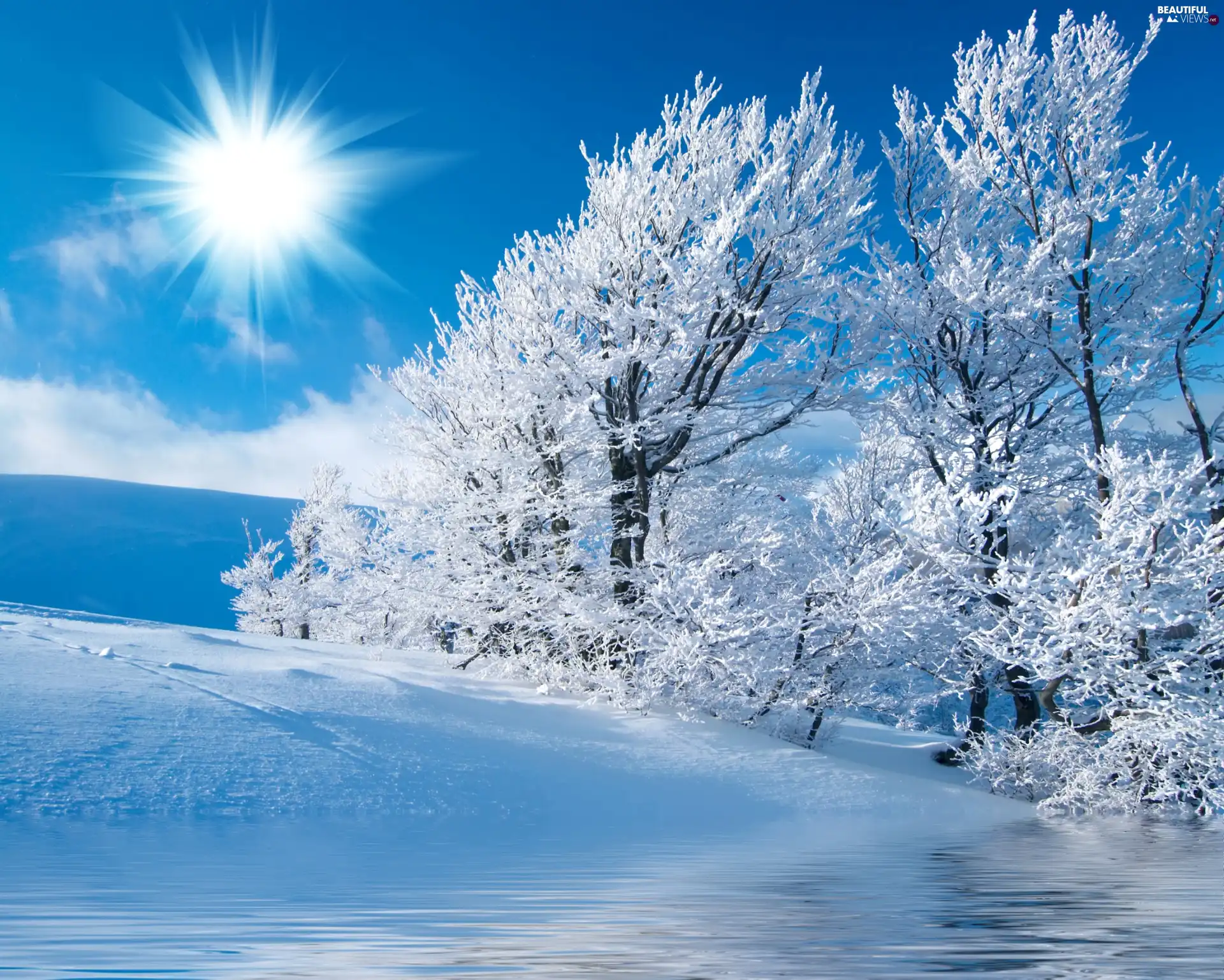 snow, sun, trees, viewes, winter