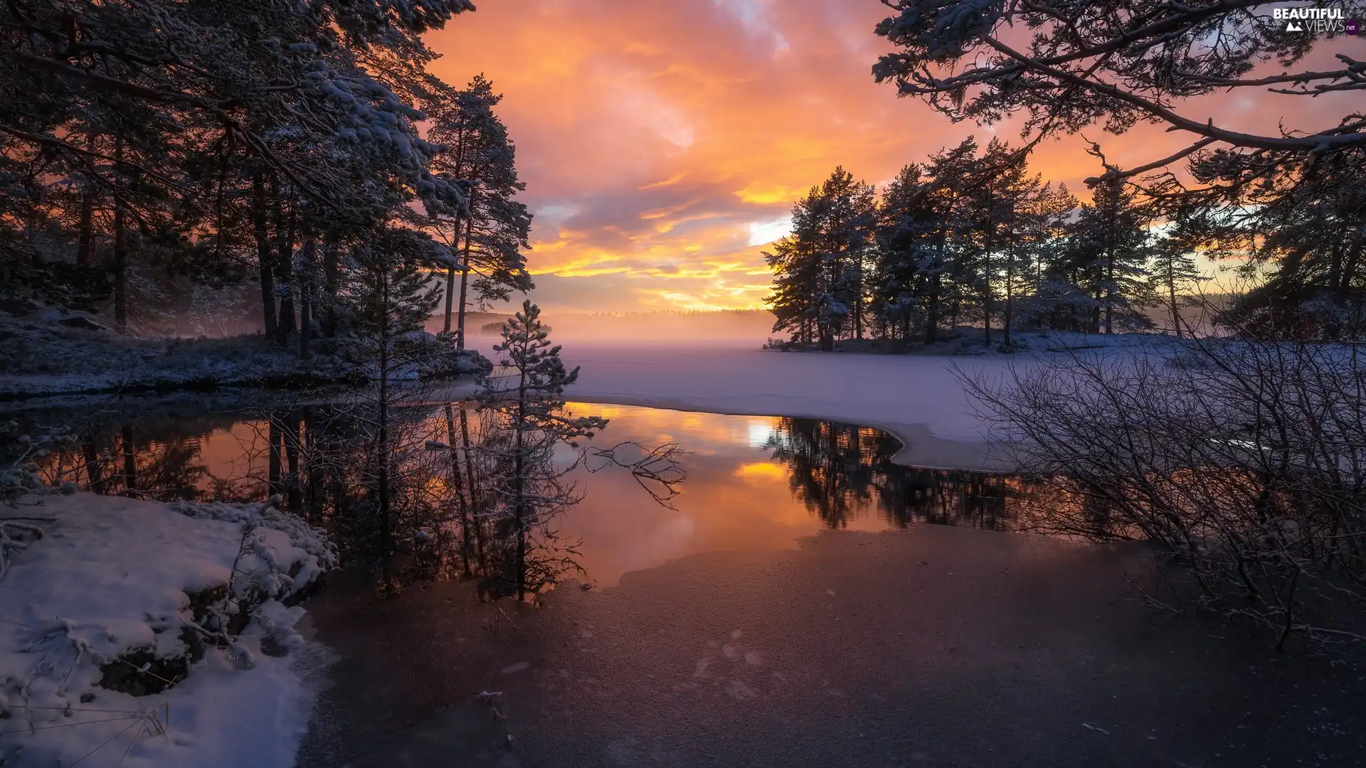 snow, winter, Icecream, lake, Ringerike, Norway, viewes, Great Sunsets, trees