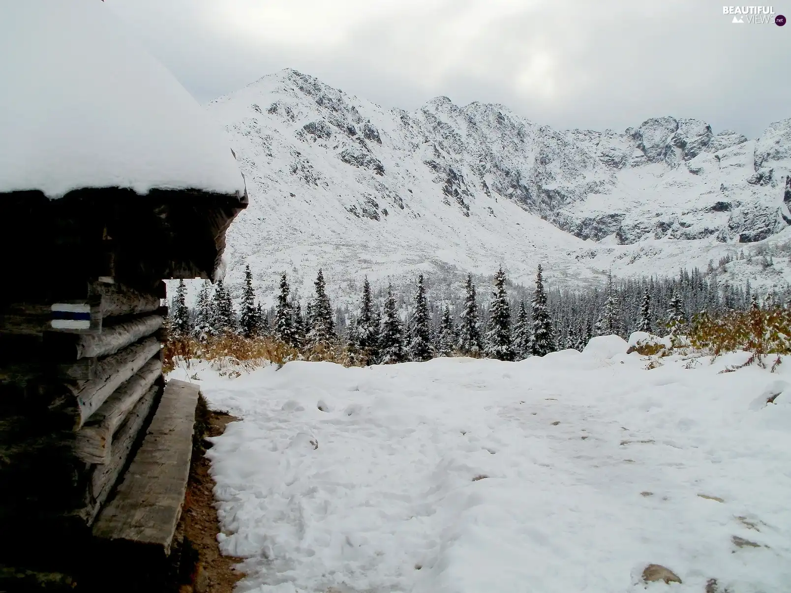 Tatras, snow