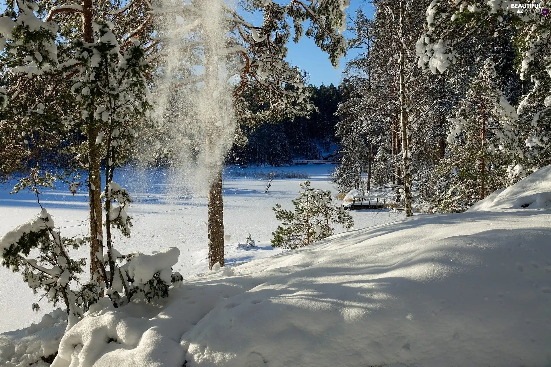 viewes, winter, lake, snow, forest, trees