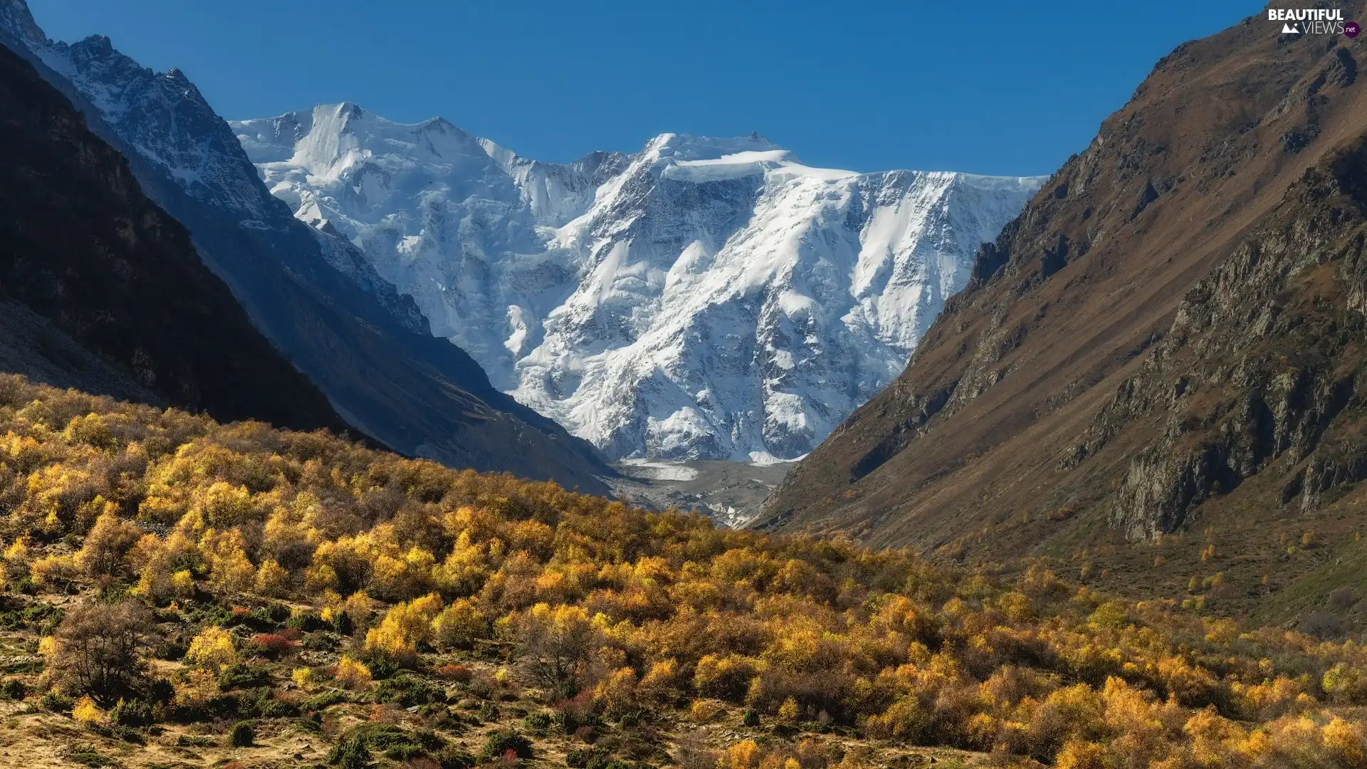 Valley, Mountains, trees, snow, autumn, Yellow, viewes