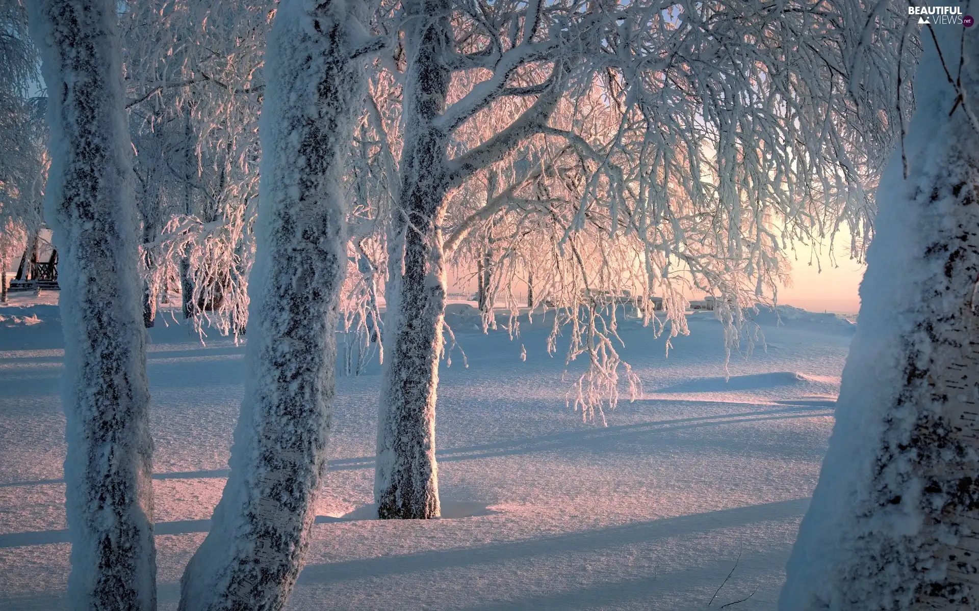 winter, snow, viewes, Snowy, trees