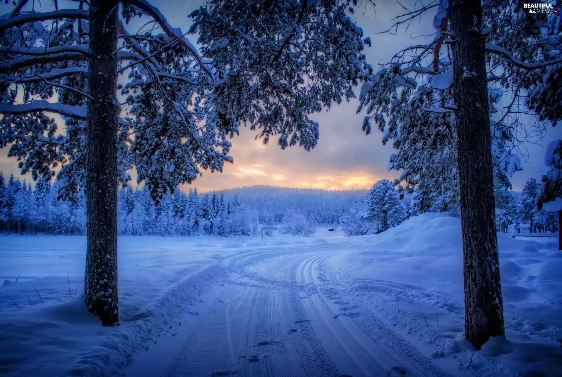 Way, winter, viewes, snow, trees, Great Sunsets
