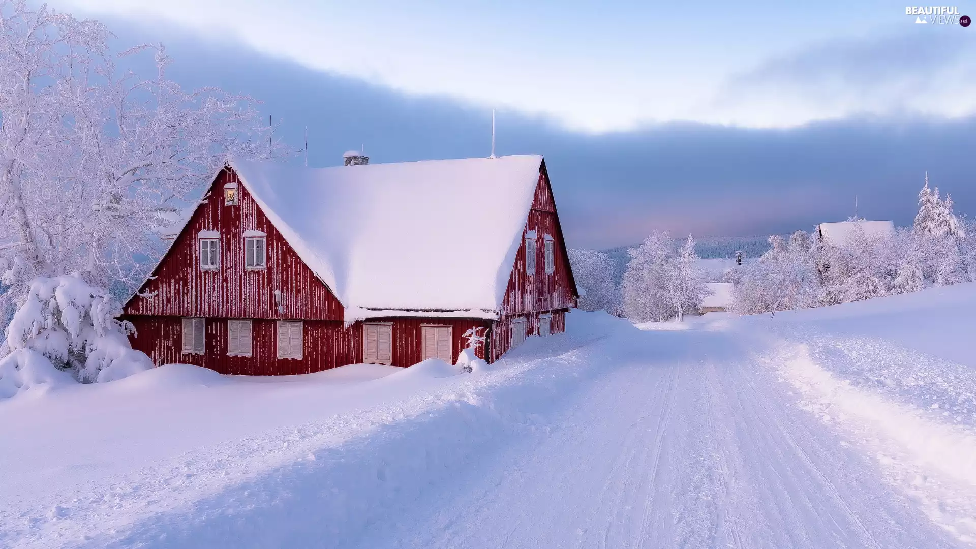 viewes, snow, Way, trees, house